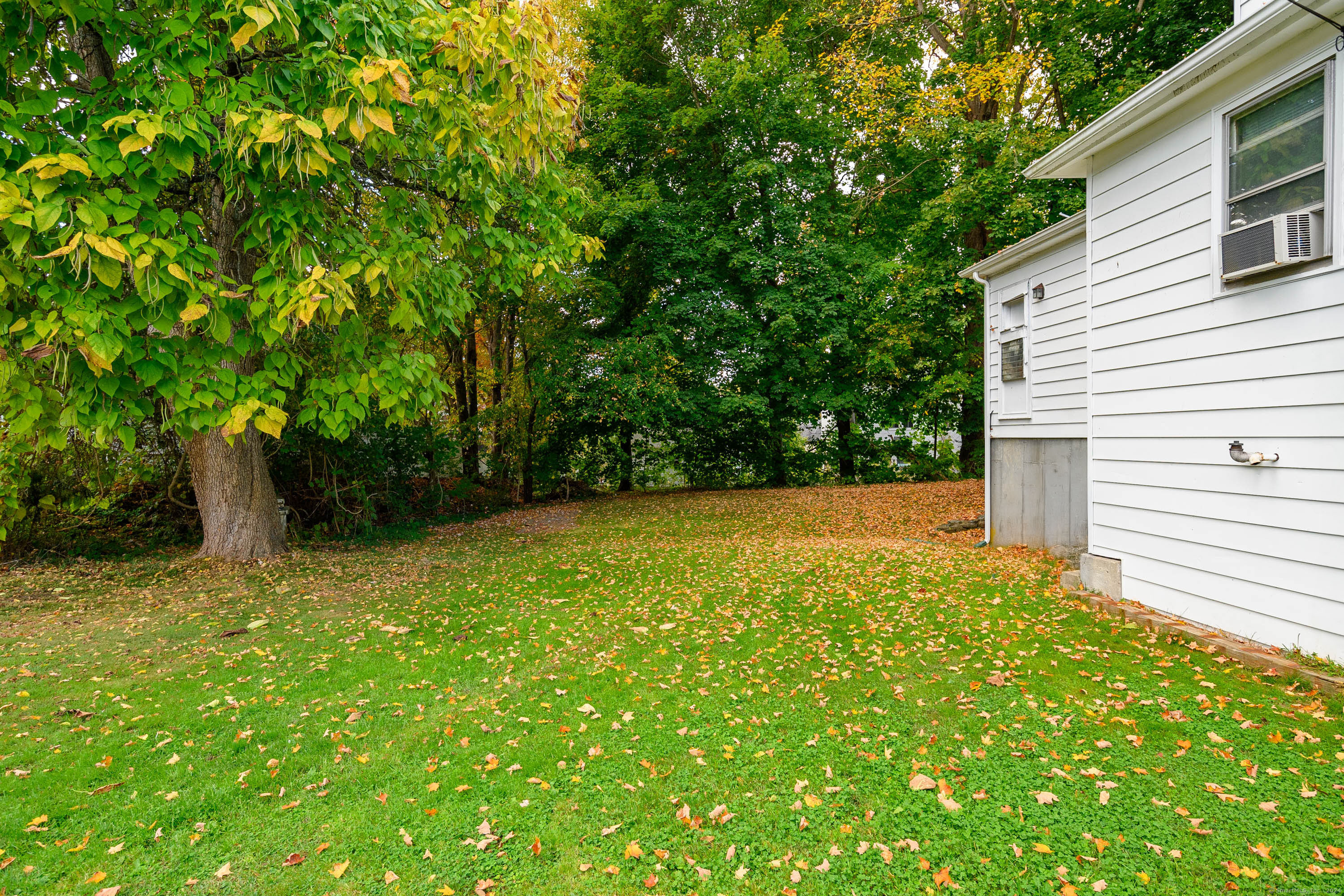 224 Echo Lake Road 2