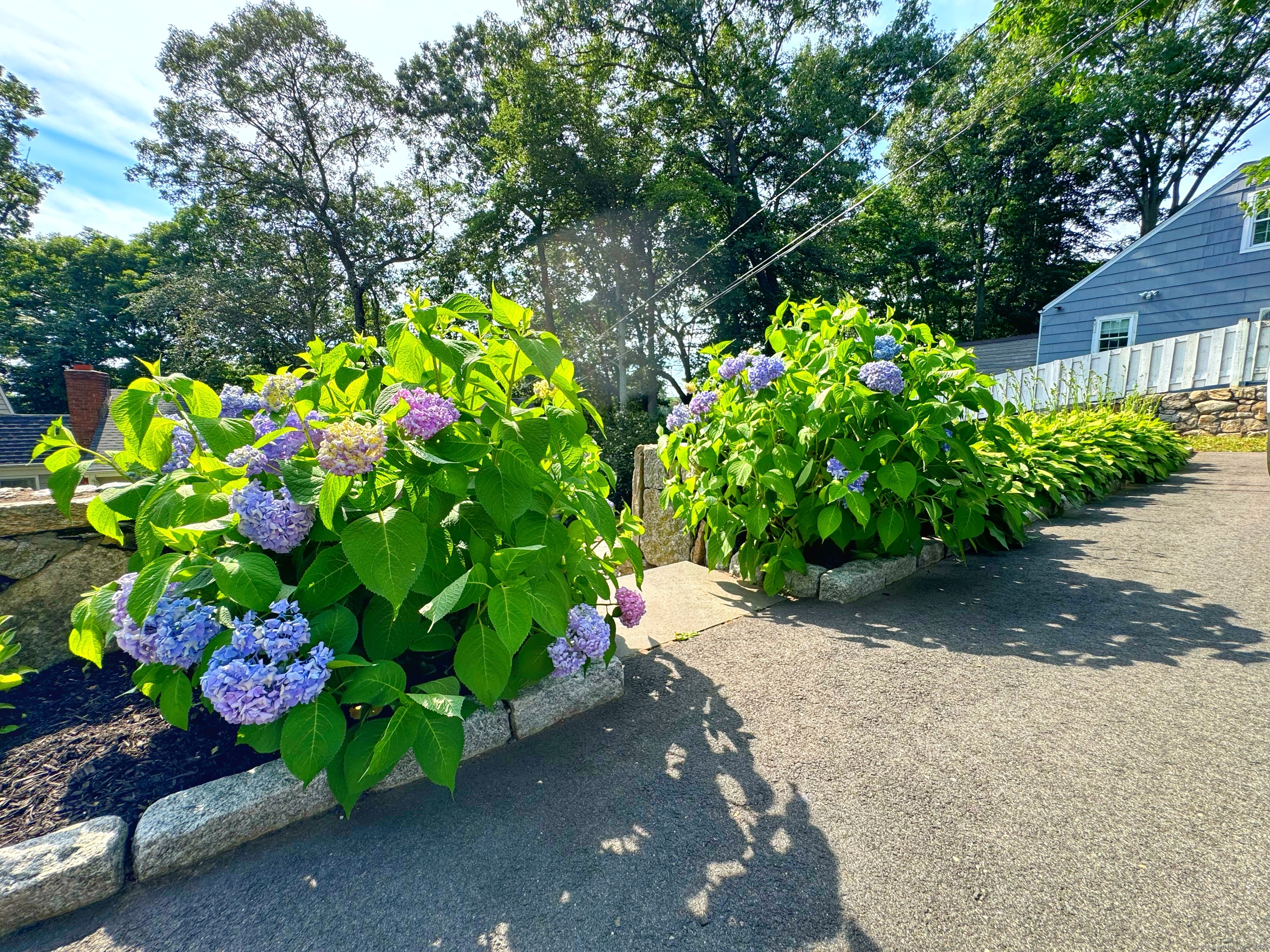45 Creeping Hemlock Drive