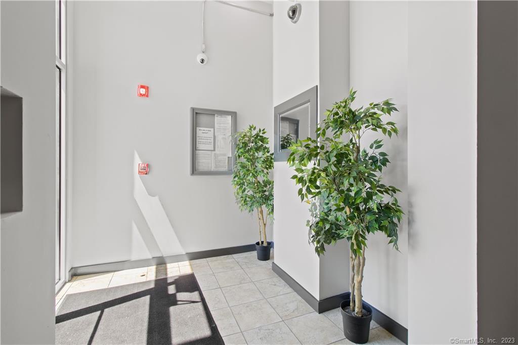 881 Lafayette Boulevard 1D
