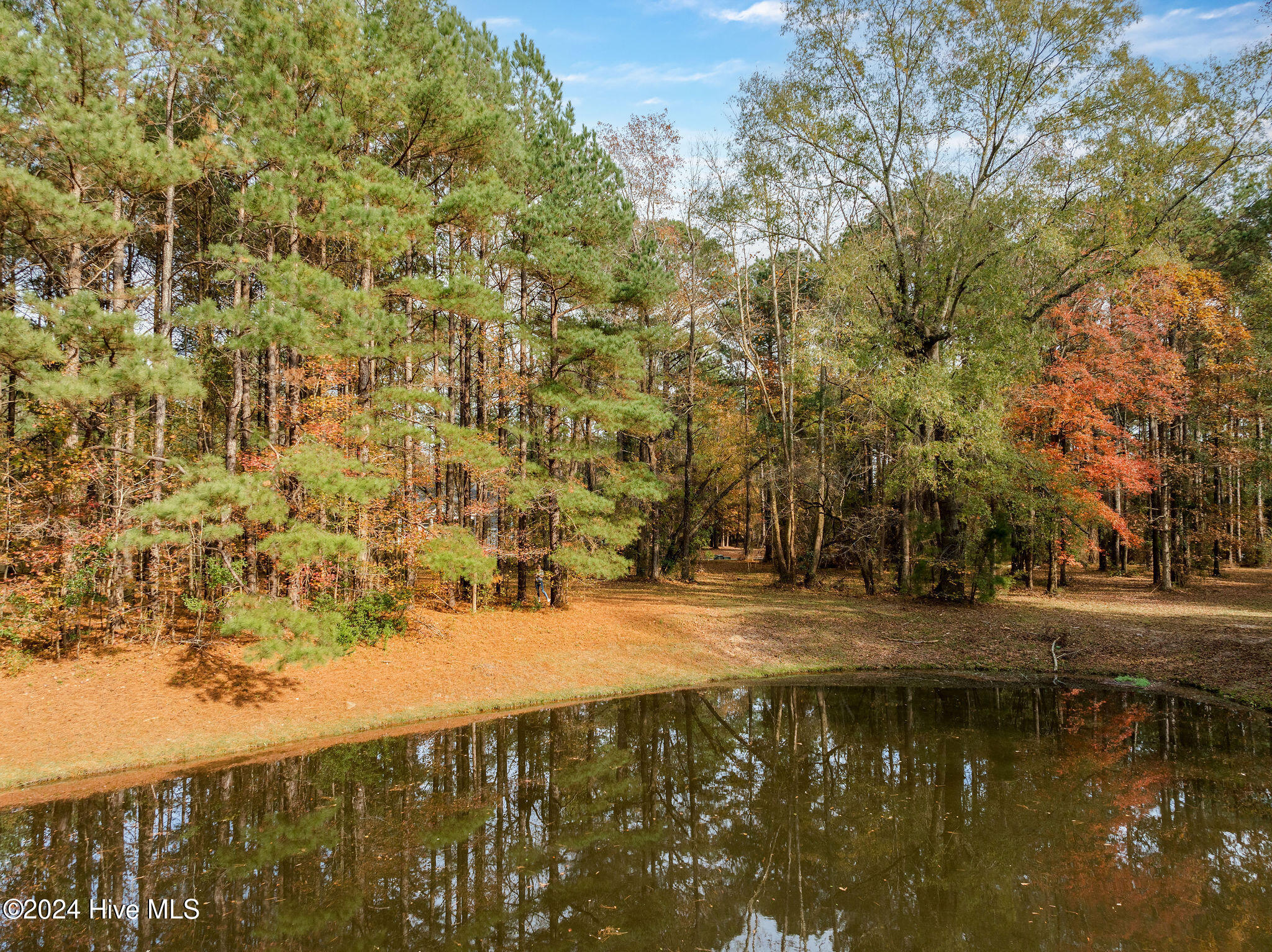 111 Loblolly Court