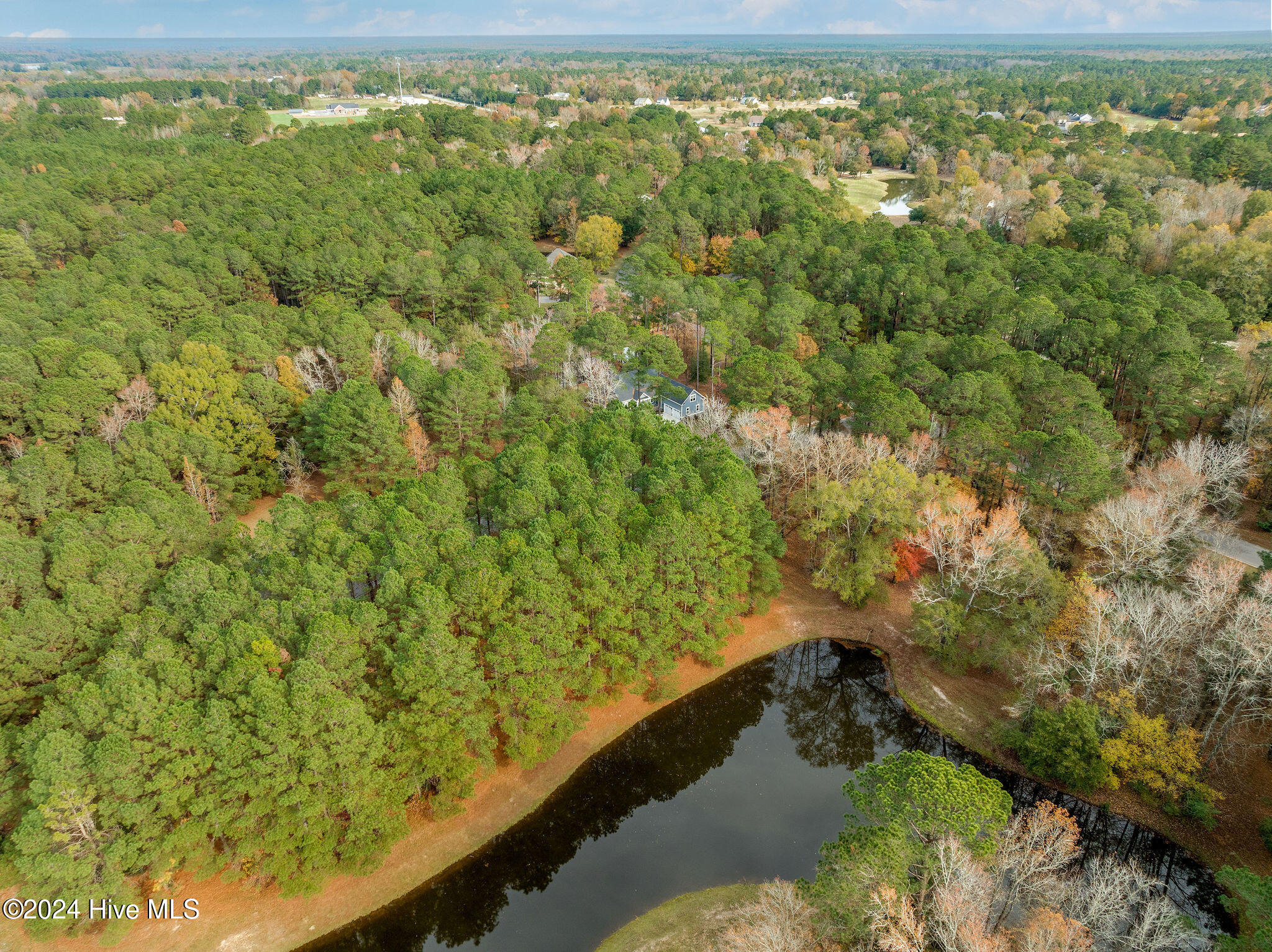 111 Loblolly Court