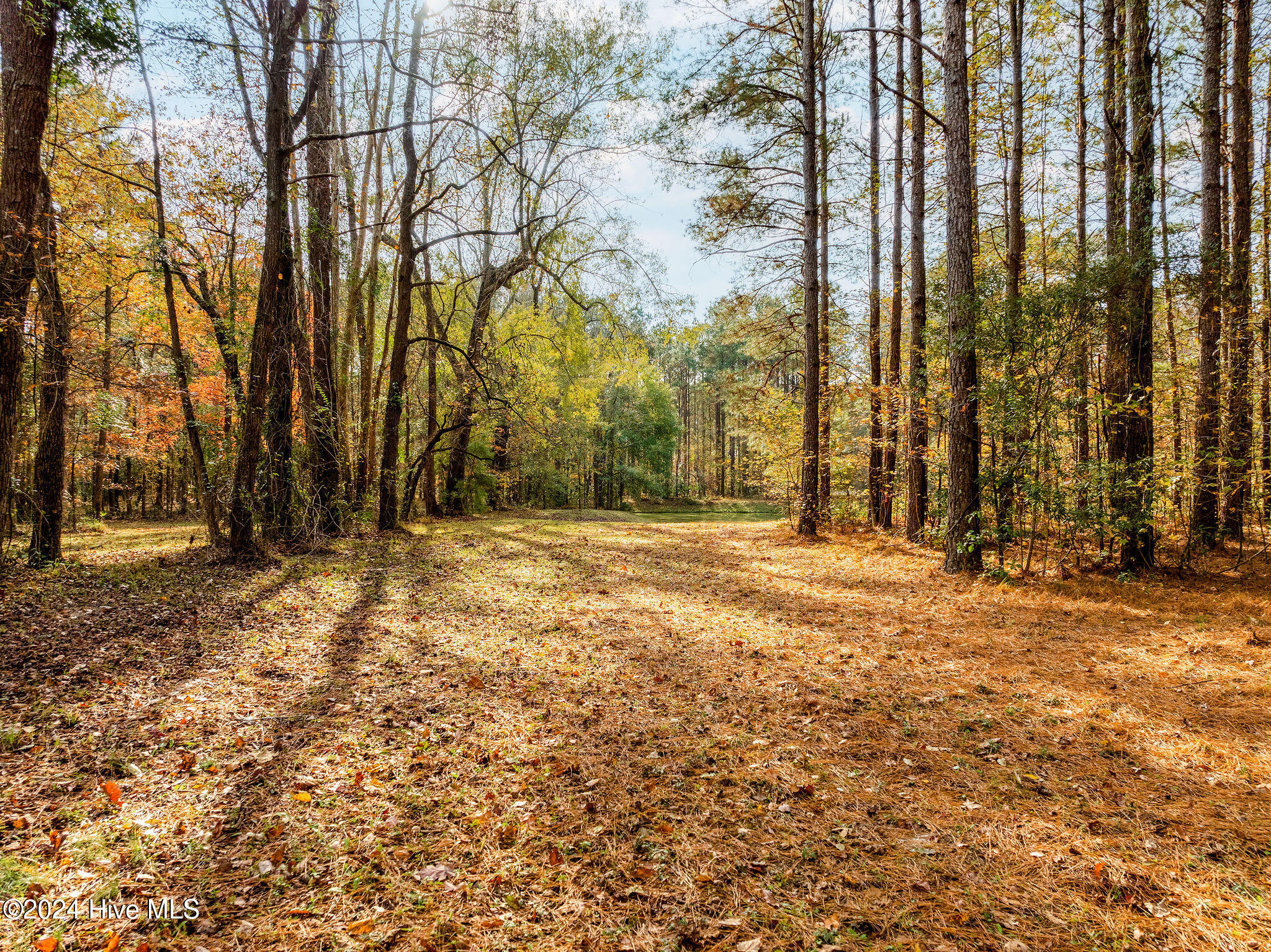111 Loblolly Court