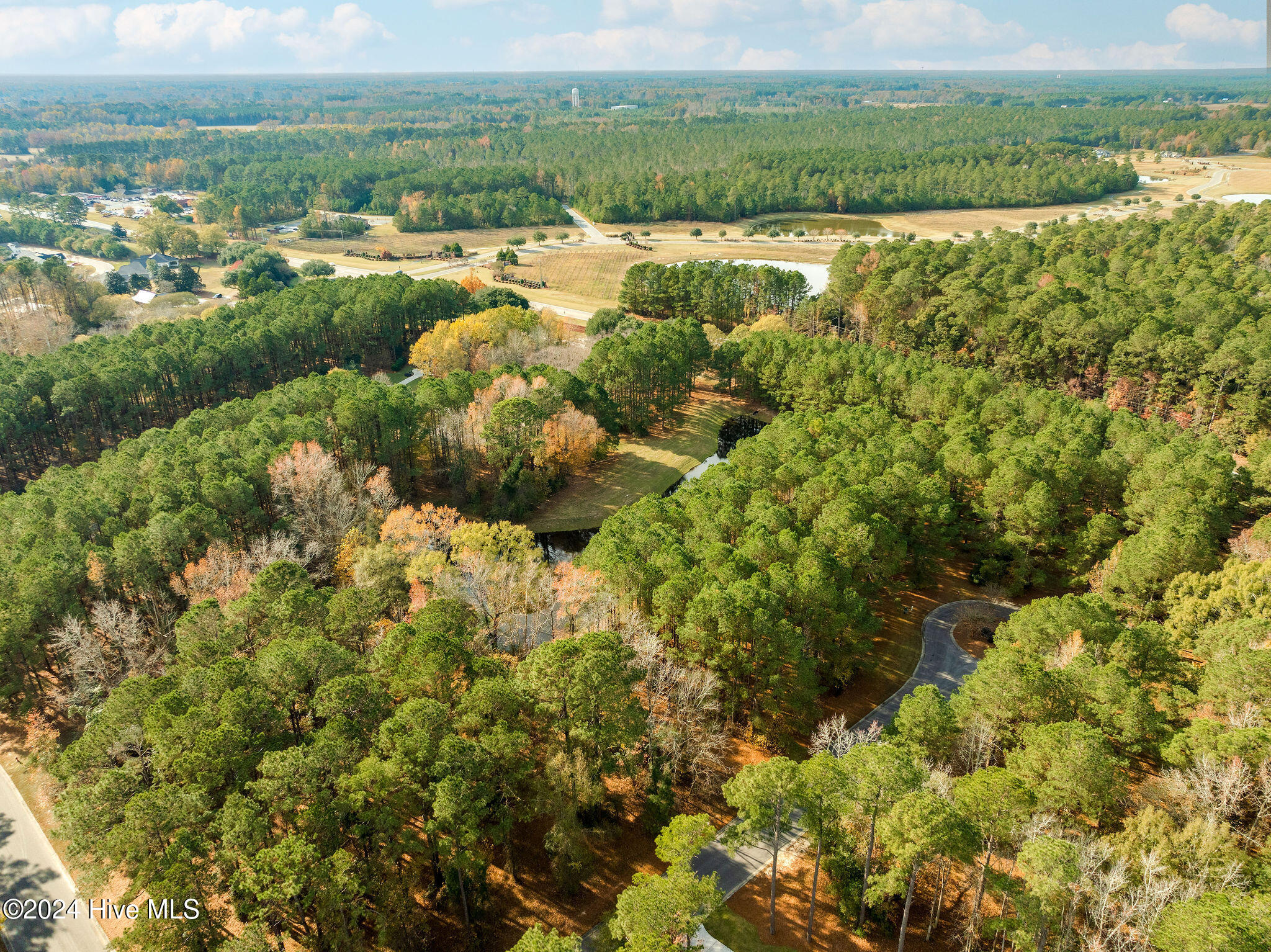 111 Loblolly Court