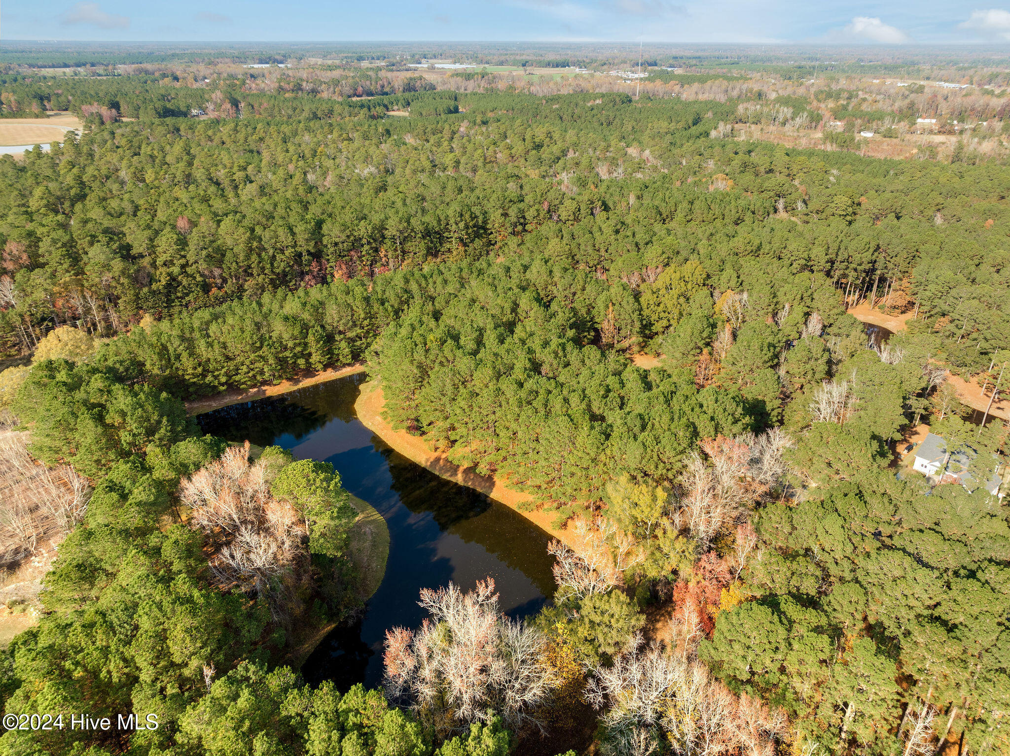 111 Loblolly Court