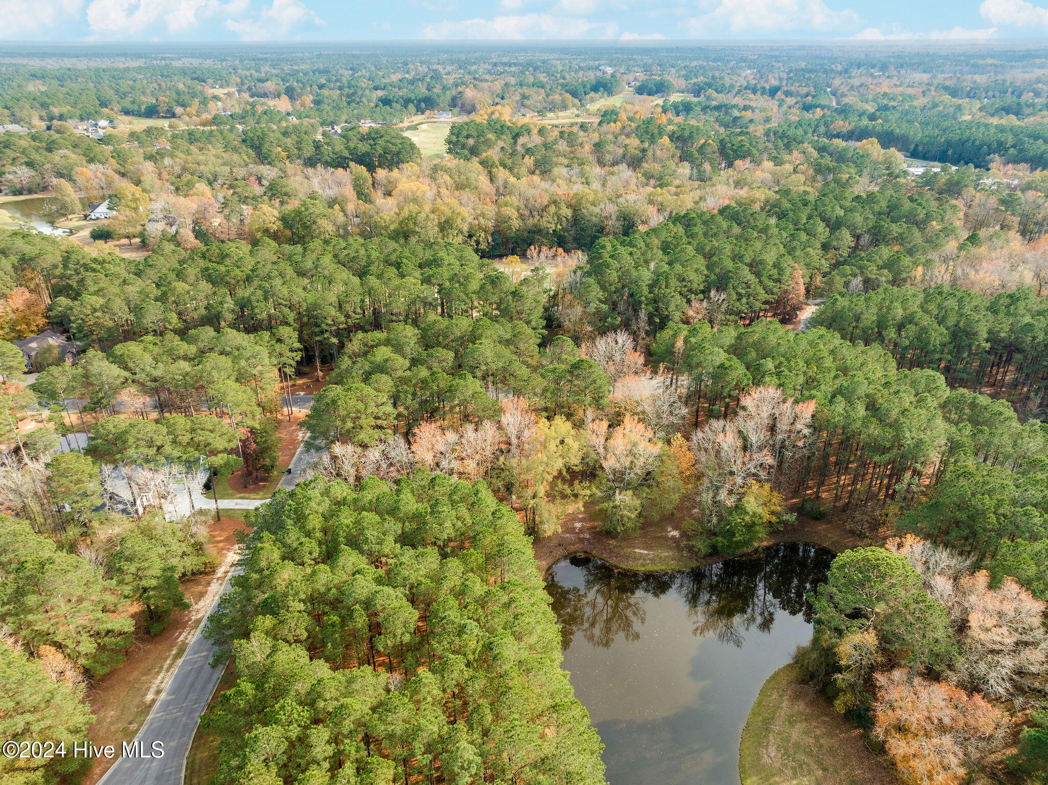 111 Loblolly Court
