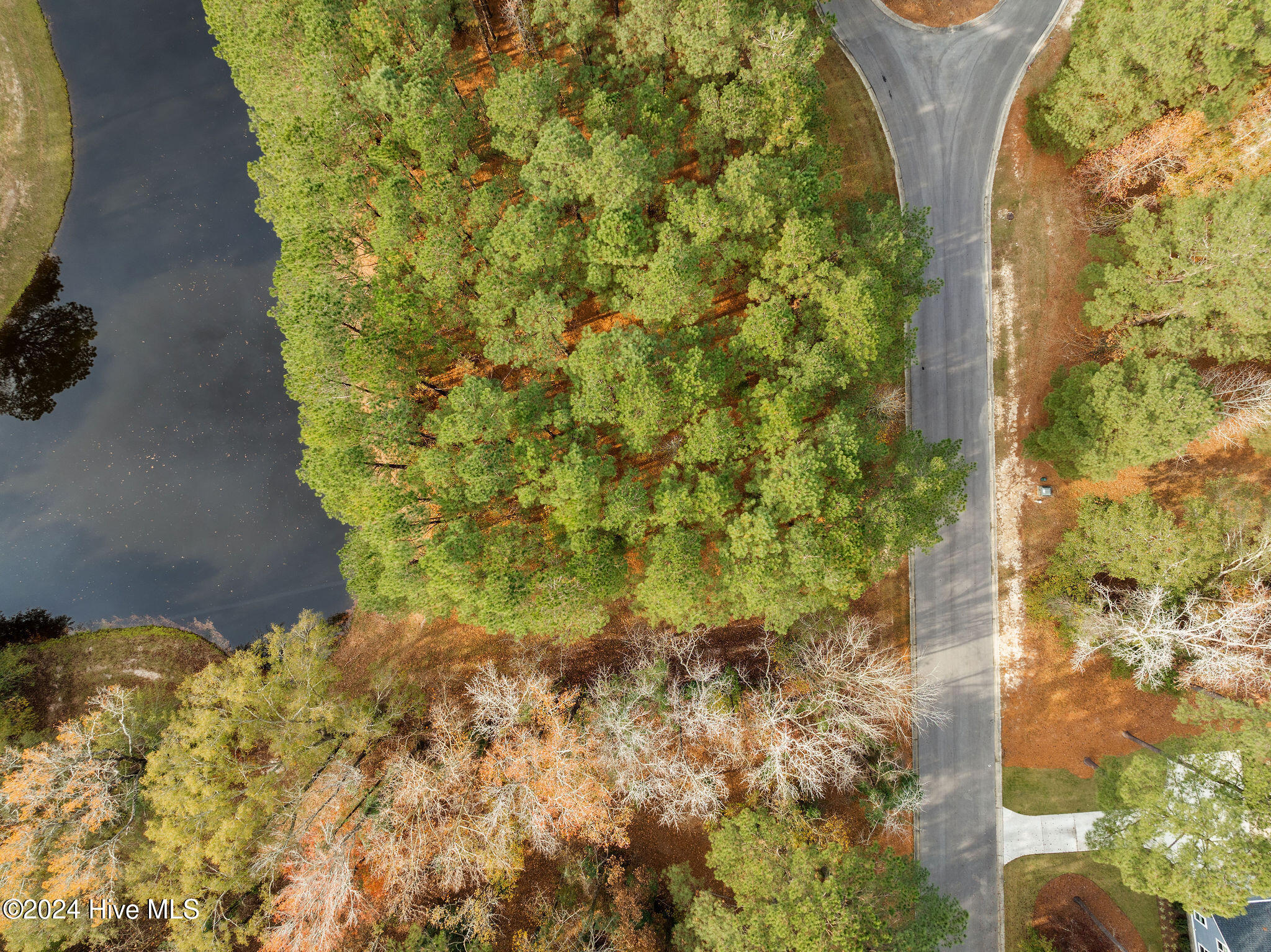 111 Loblolly Court