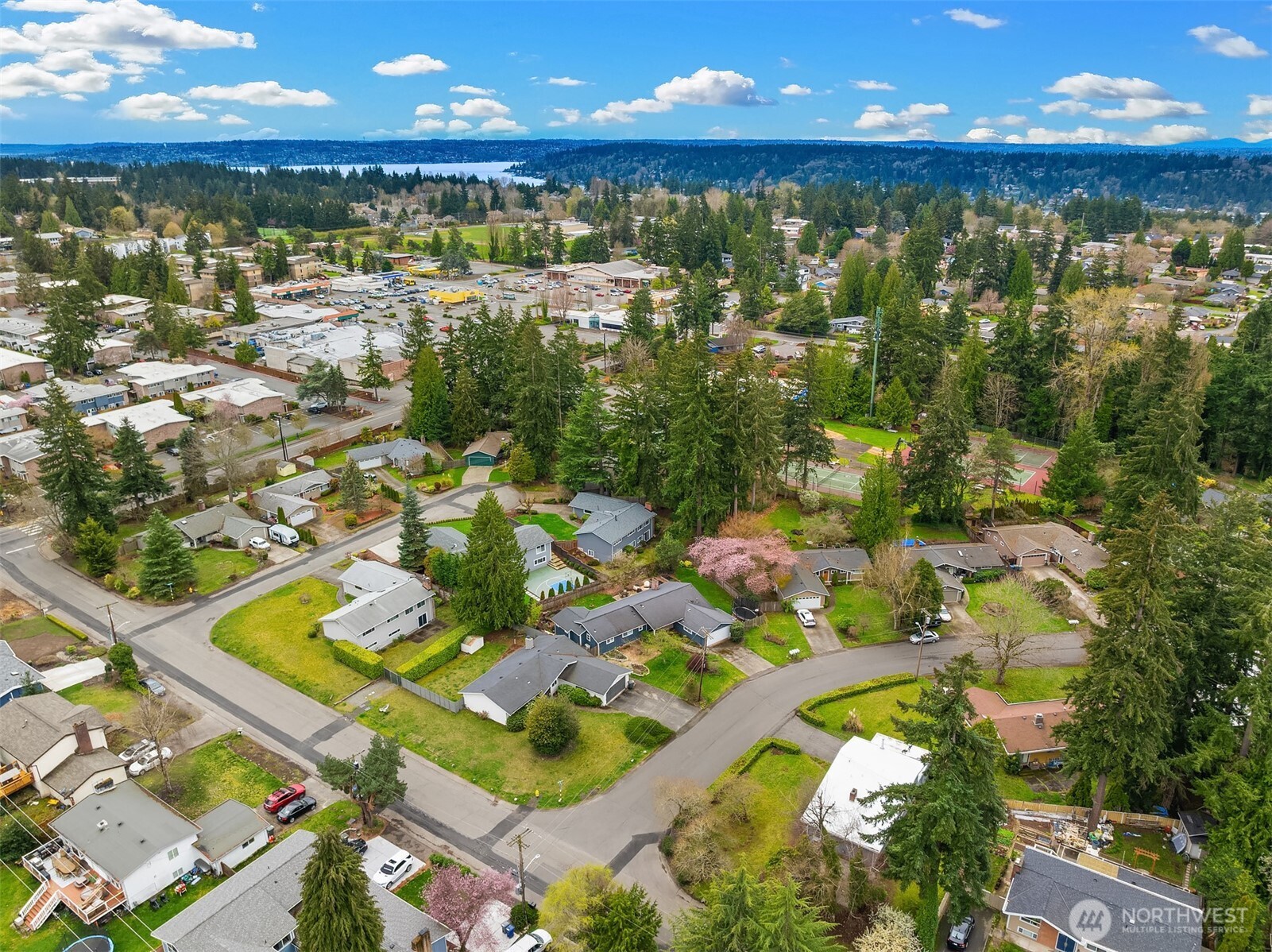 12226 SE 54th Street