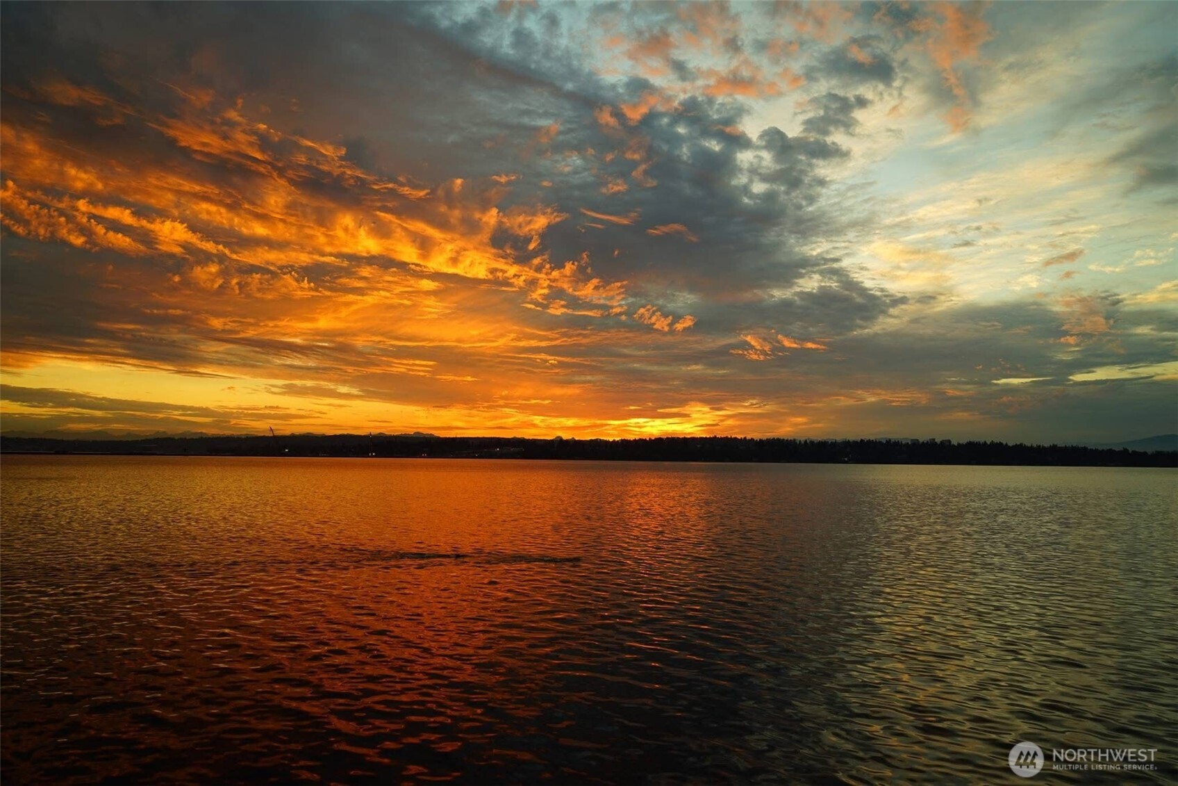 1600 43rd Avenue E Unit: 206