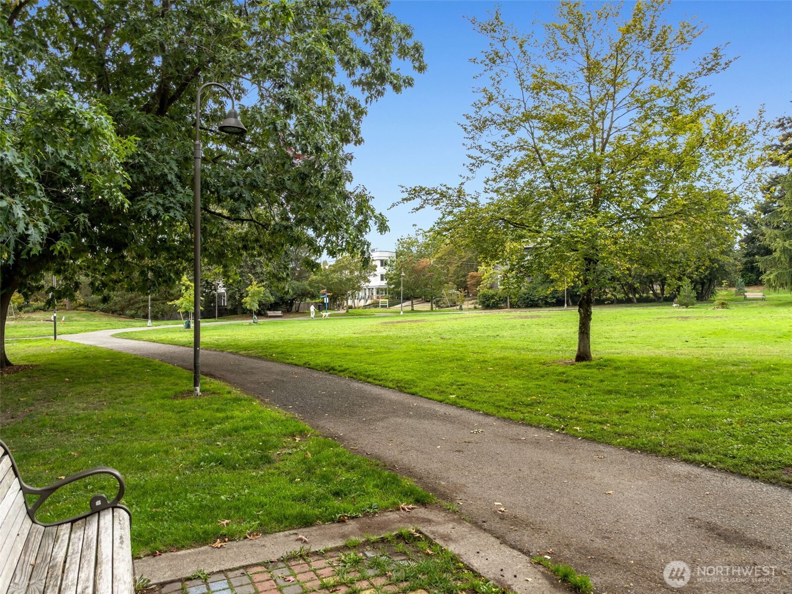 Tree-lined park with a broad lawn, curving paved paths, and a bench.