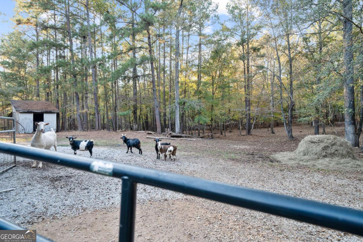 385 Stembridge Road SE