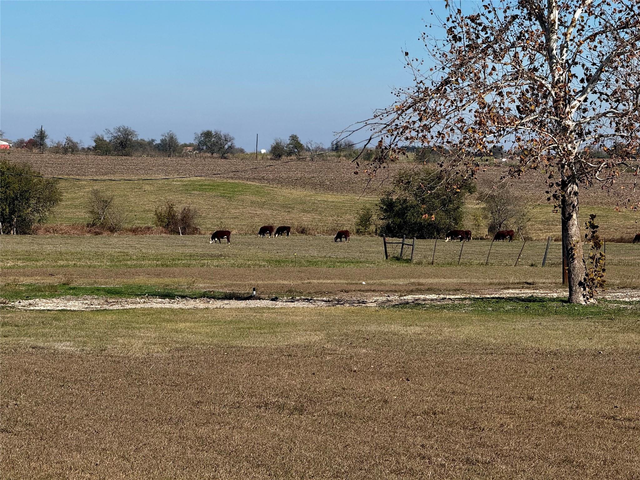 Build Your Country Home in Taylor TX | Unrestricted Land Near Samsung | 601 County Road 497