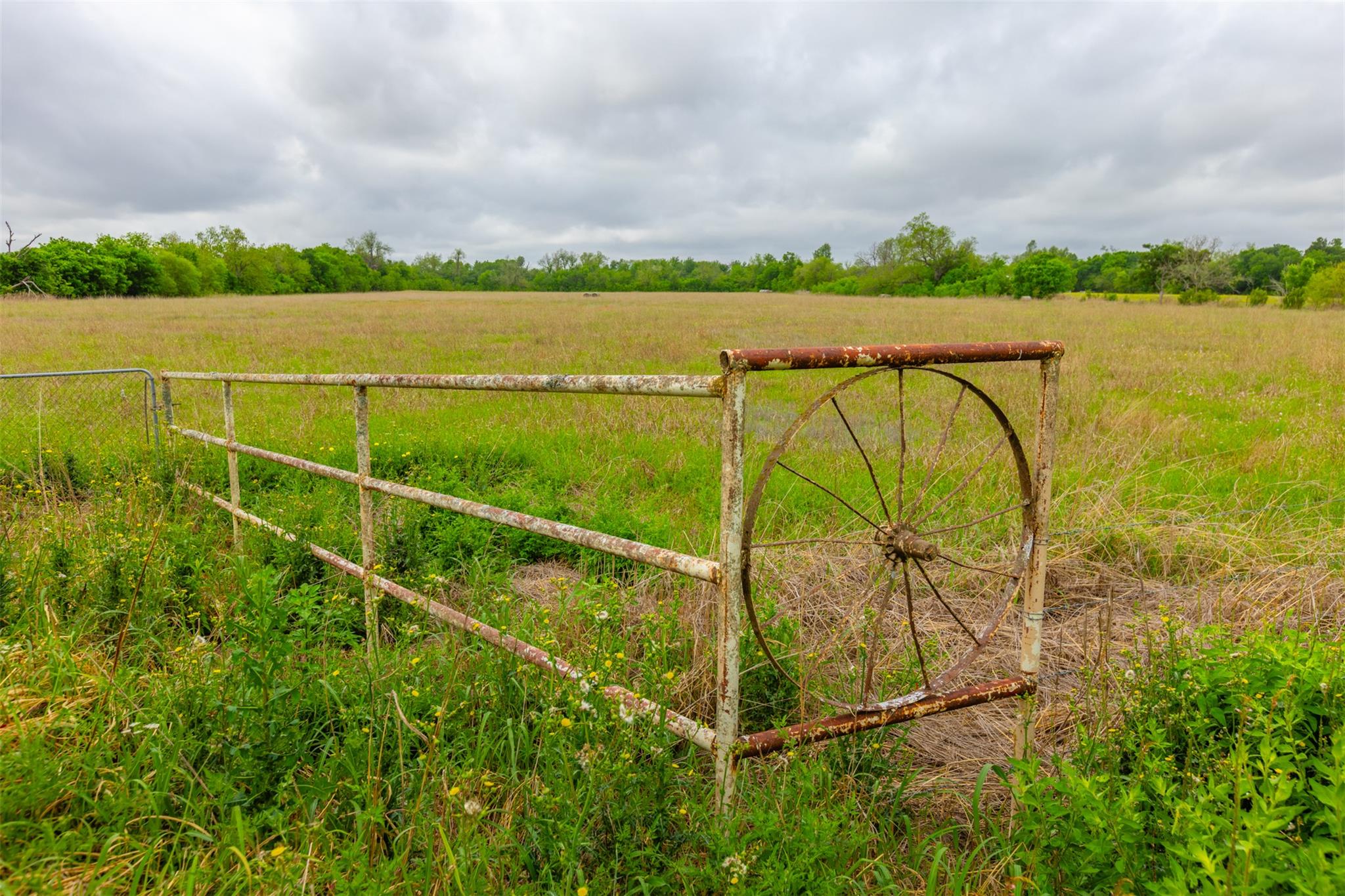 3 Minutes from Samsung: 18.45 Acres of Unrestricted Land in Taylor TX