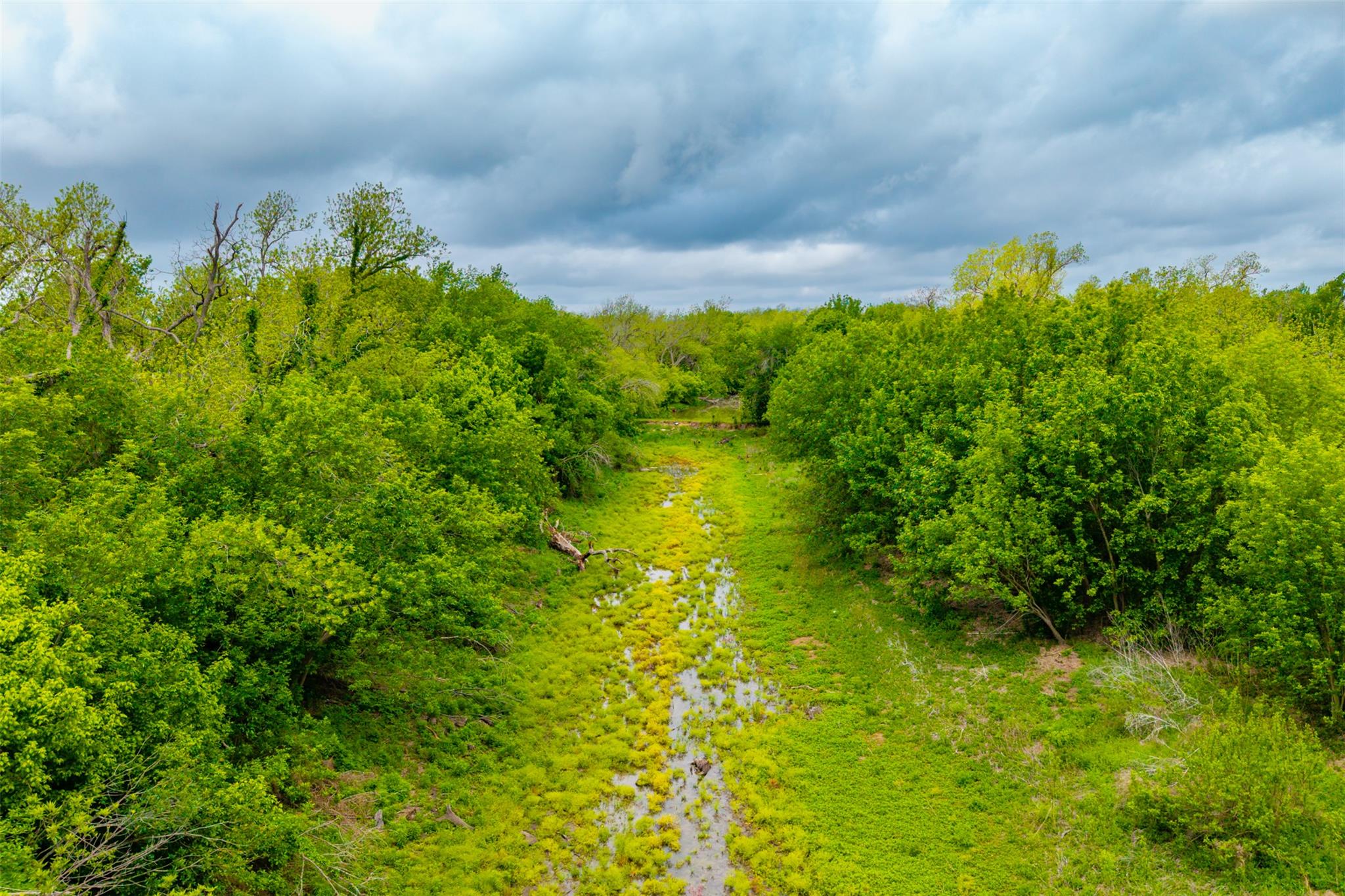 3 Minutes from Samsung: 18.45 Acres of Unrestricted Land in Taylor TX