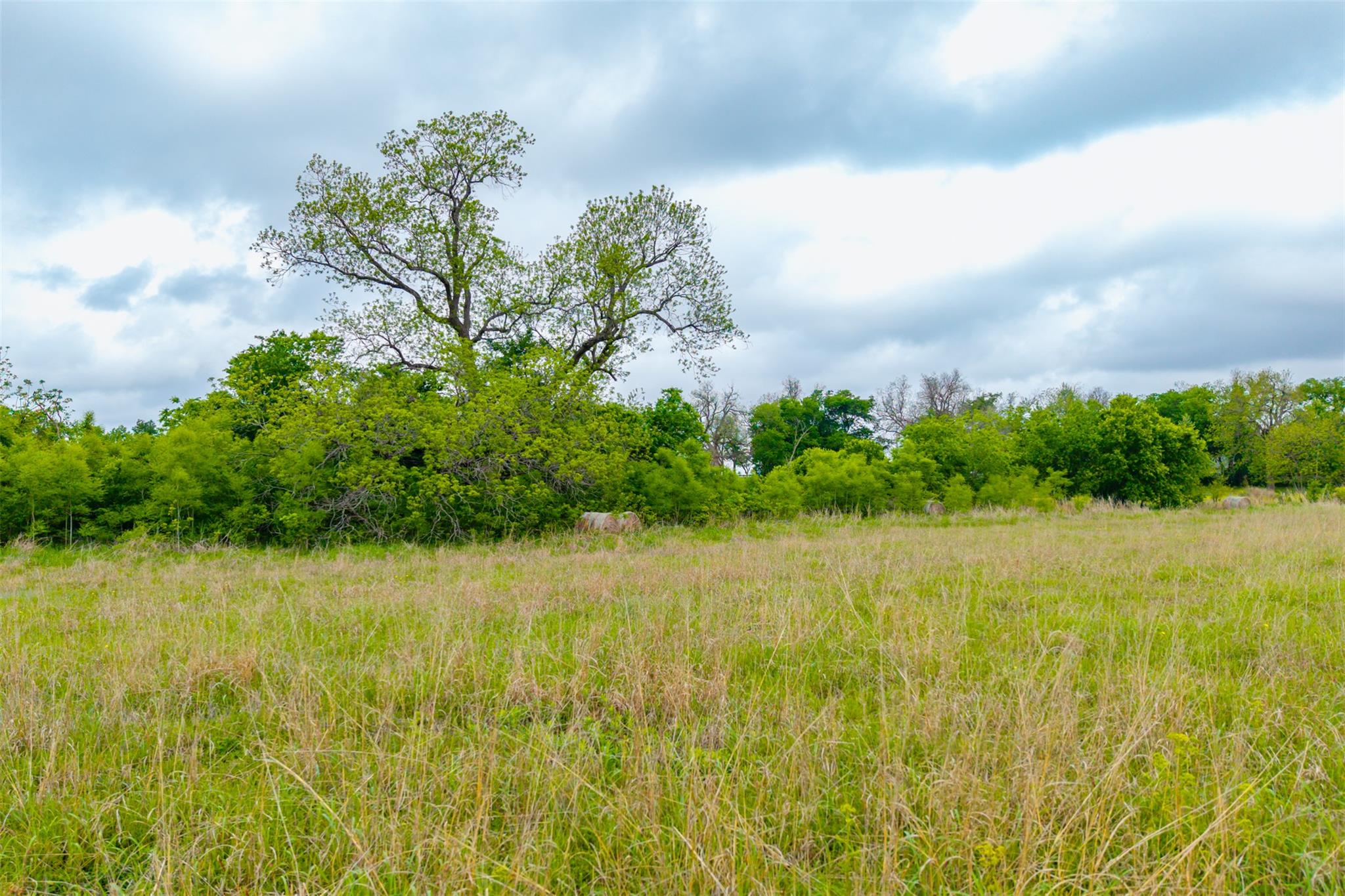 3 Minutes from Samsung: 18.45 Acres of Unrestricted Land in Taylor TX