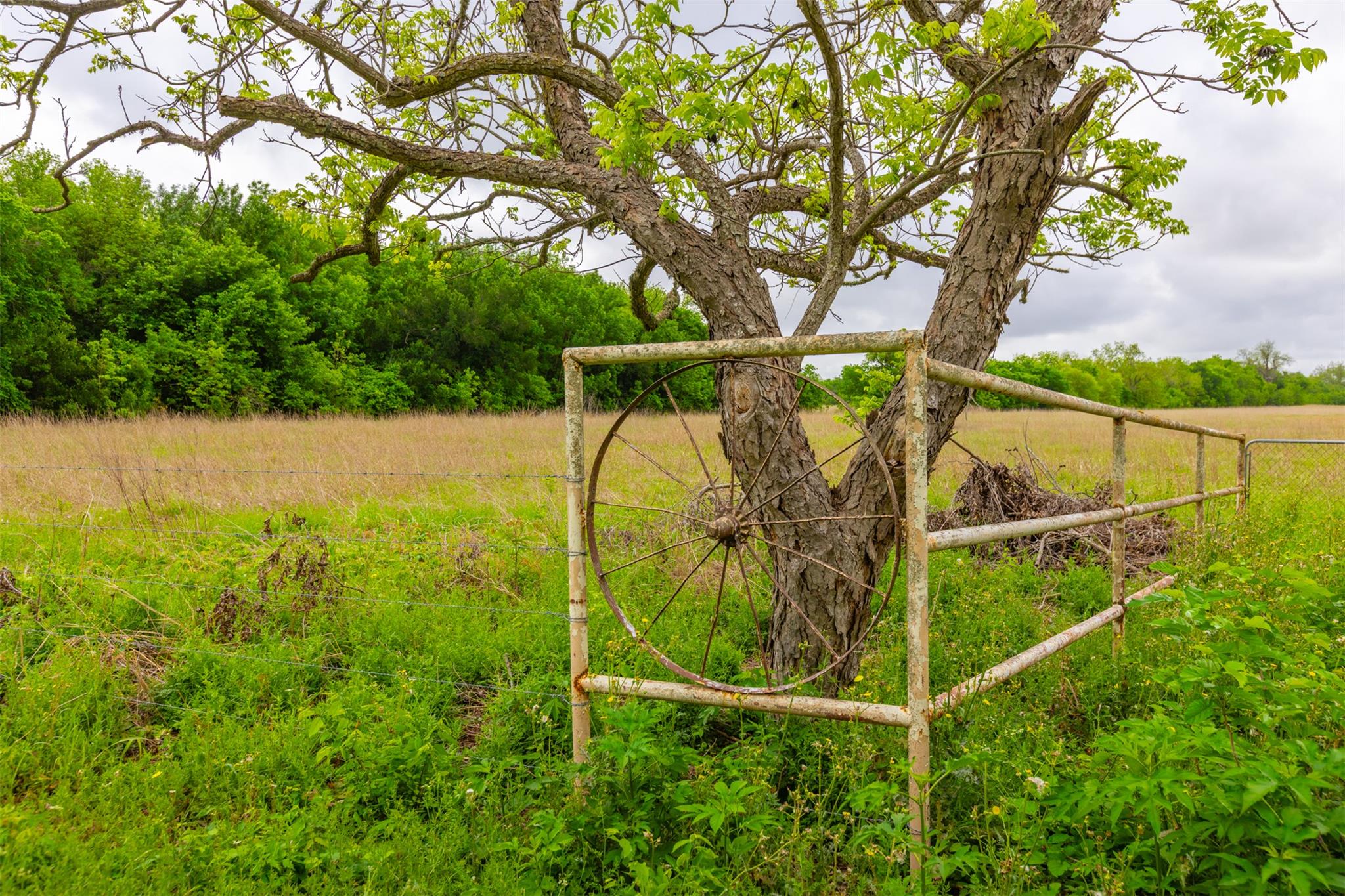 3 Minutes from Samsung: 18.45 Acres of Unrestricted Land in Taylor TX