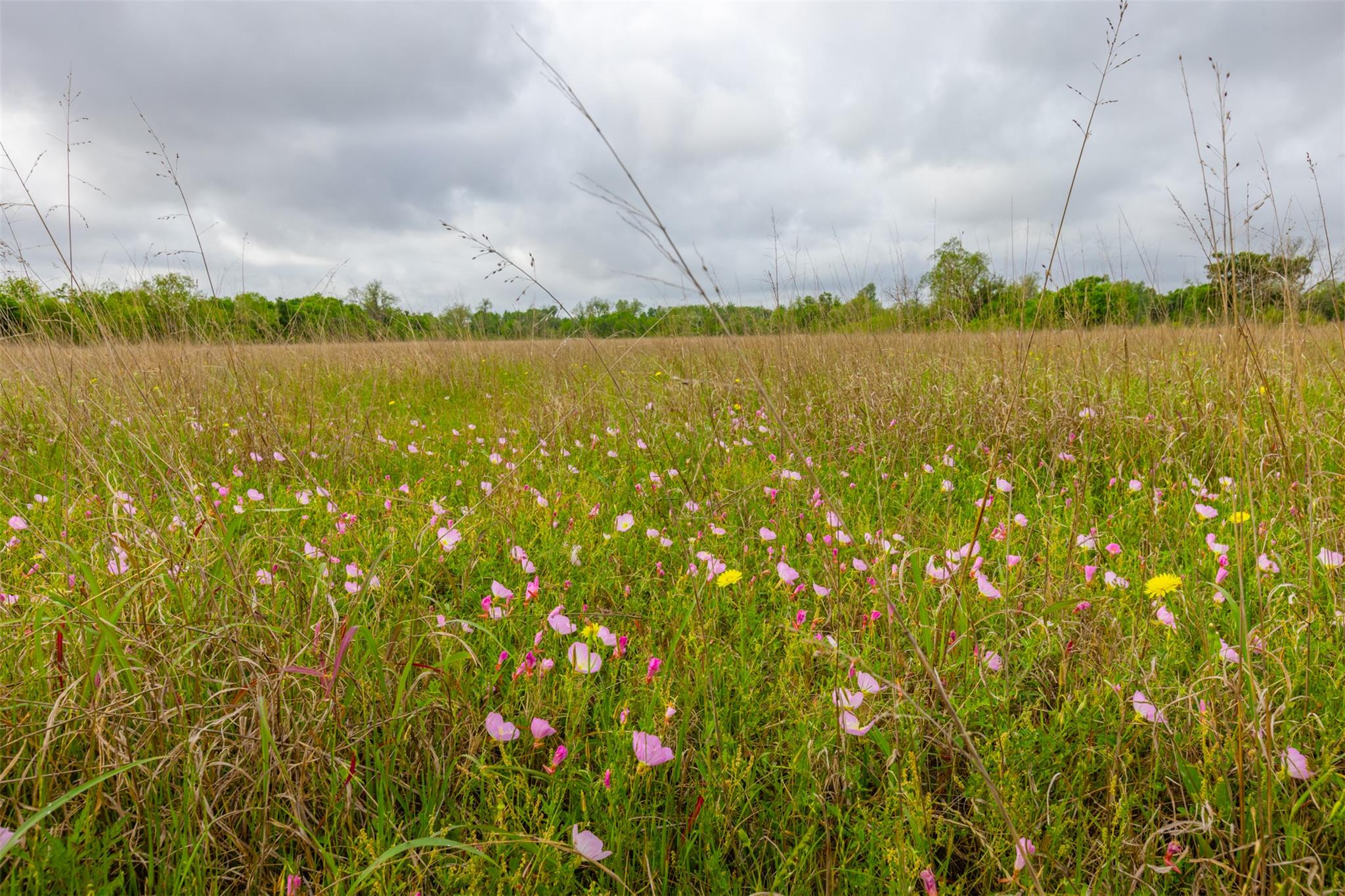3 Minutes from Samsung: 18.45 Acres of Unrestricted Land in Taylor TX