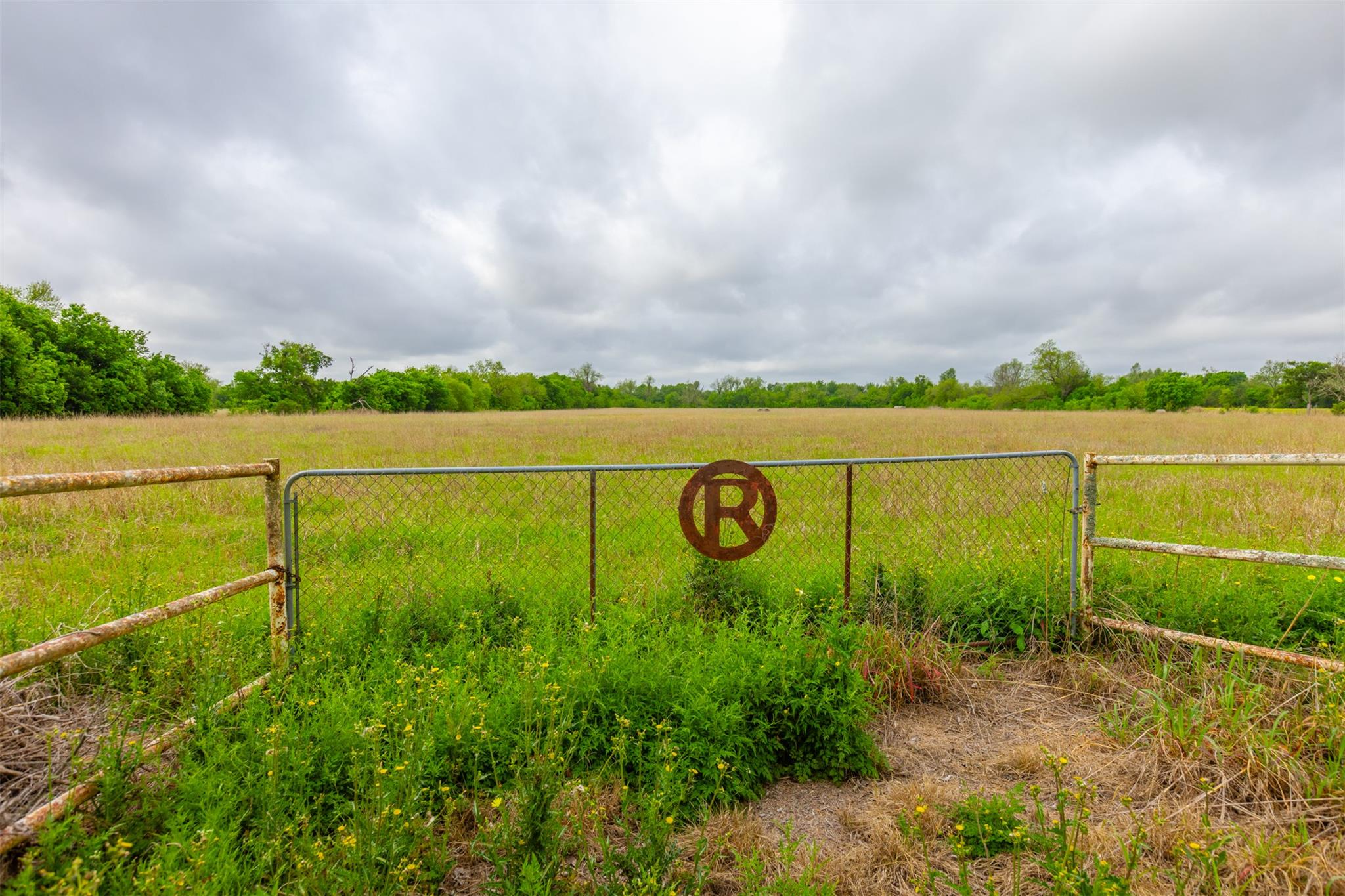 3 Minutes from Samsung: 18.45 Acres of Unrestricted Land in Taylor TX