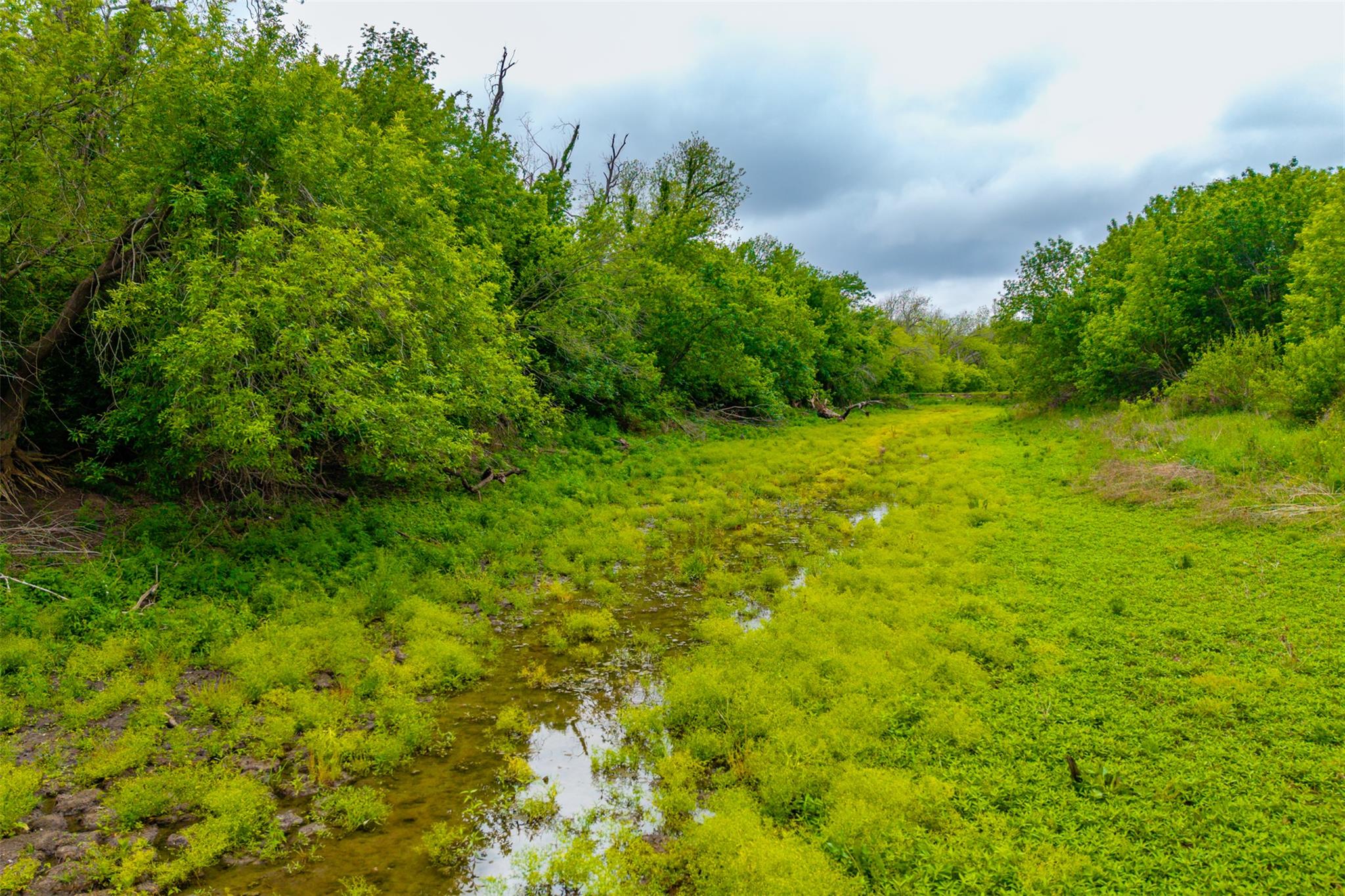 3 Minutes from Samsung: 18.45 Acres of Unrestricted Land in Taylor TX