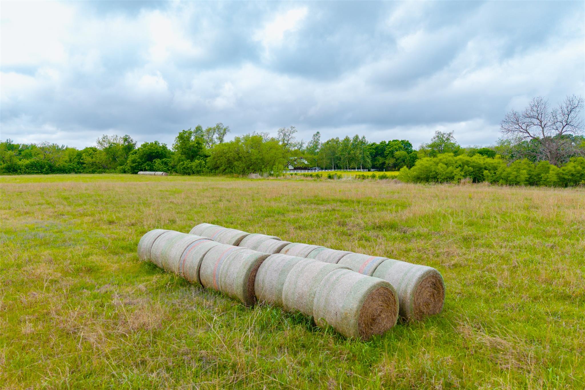 3 Minutes from Samsung: 18.45 Acres of Unrestricted Land in Taylor TX