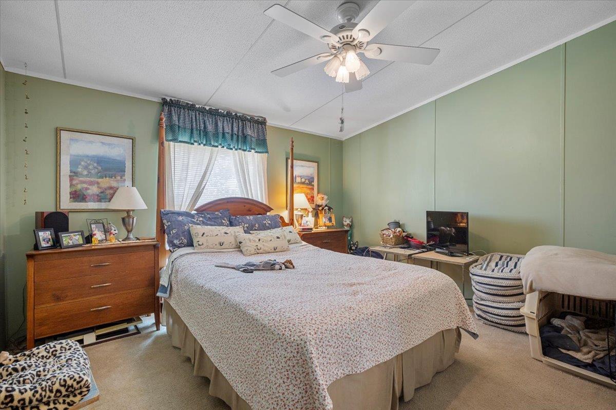 5 Unrestricted Acres in the Commecial Corridor of Manor on FM 973