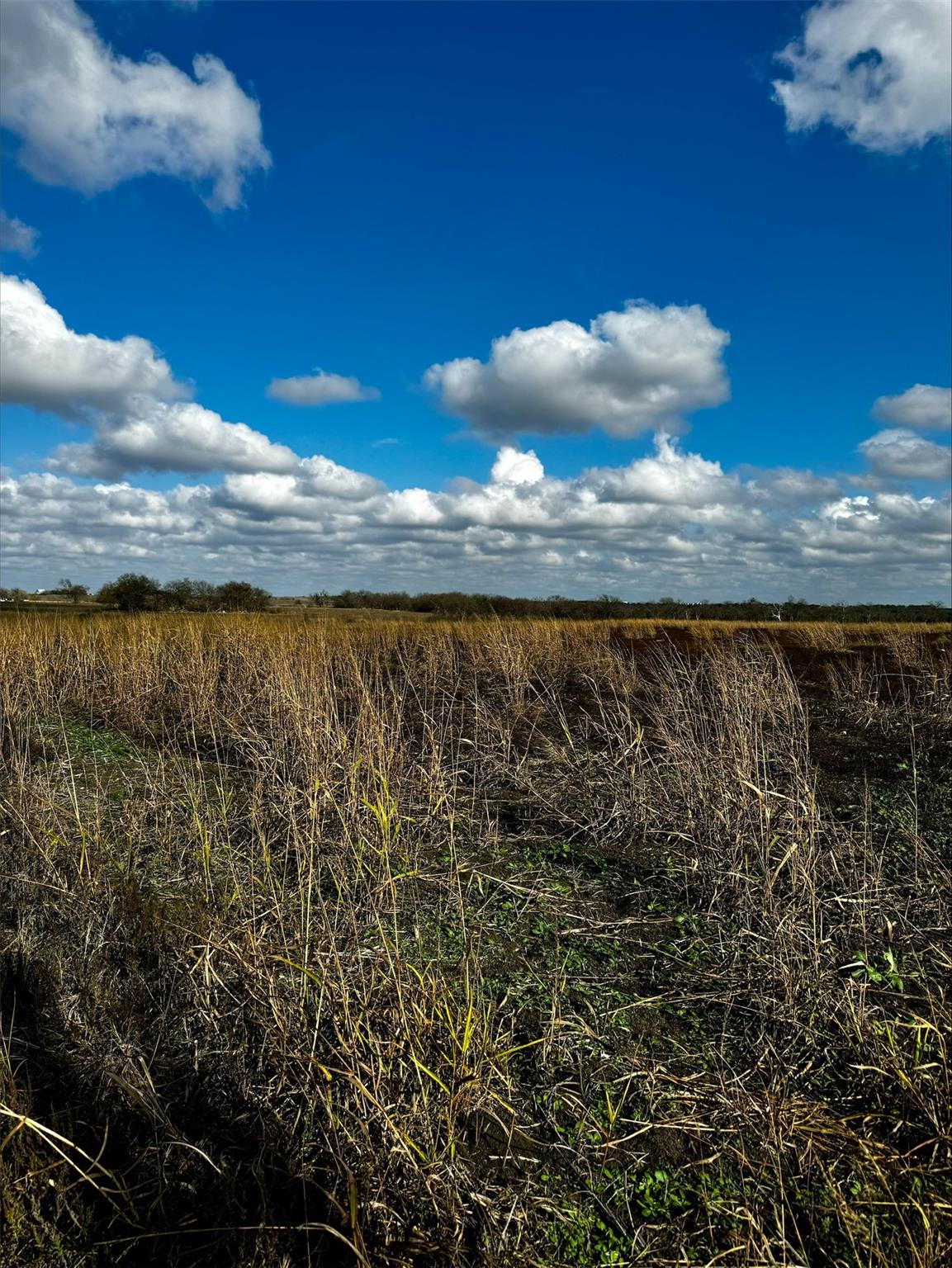 18701 FM 973 Lot 1 - 30 Acres No Restrictions