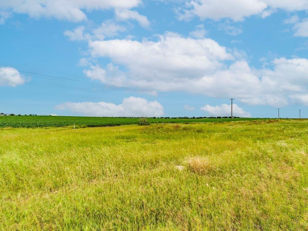 42 Acres on FM 973 and Steger Ln Between Taylor, Pflugerville & Manor