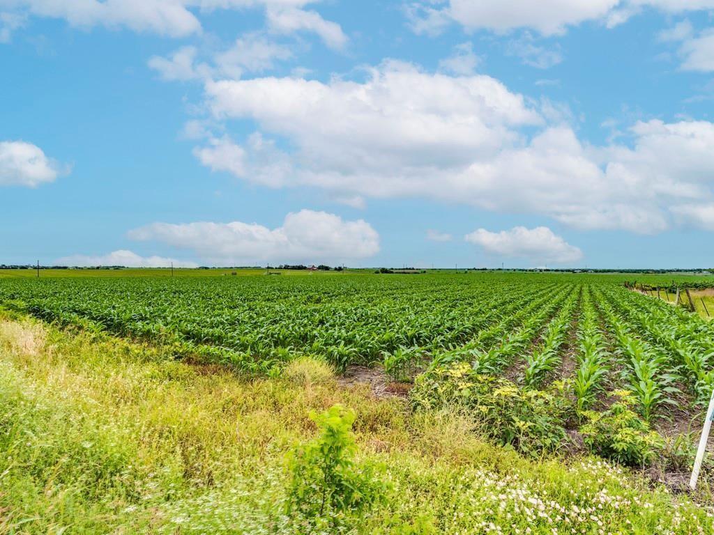 42 Acres on FM 973 and Steger Ln Between Taylor, Pflugerville & Manor