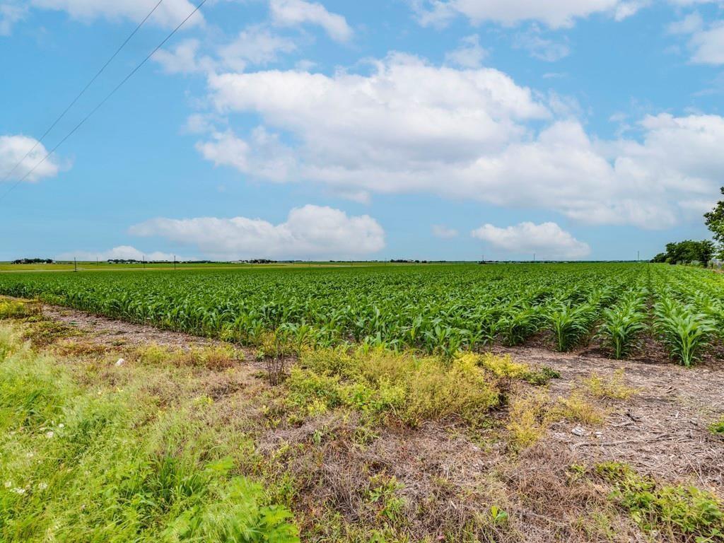 42 Acres on FM 973 and Steger Ln Between Taylor, Pflugerville & Manor