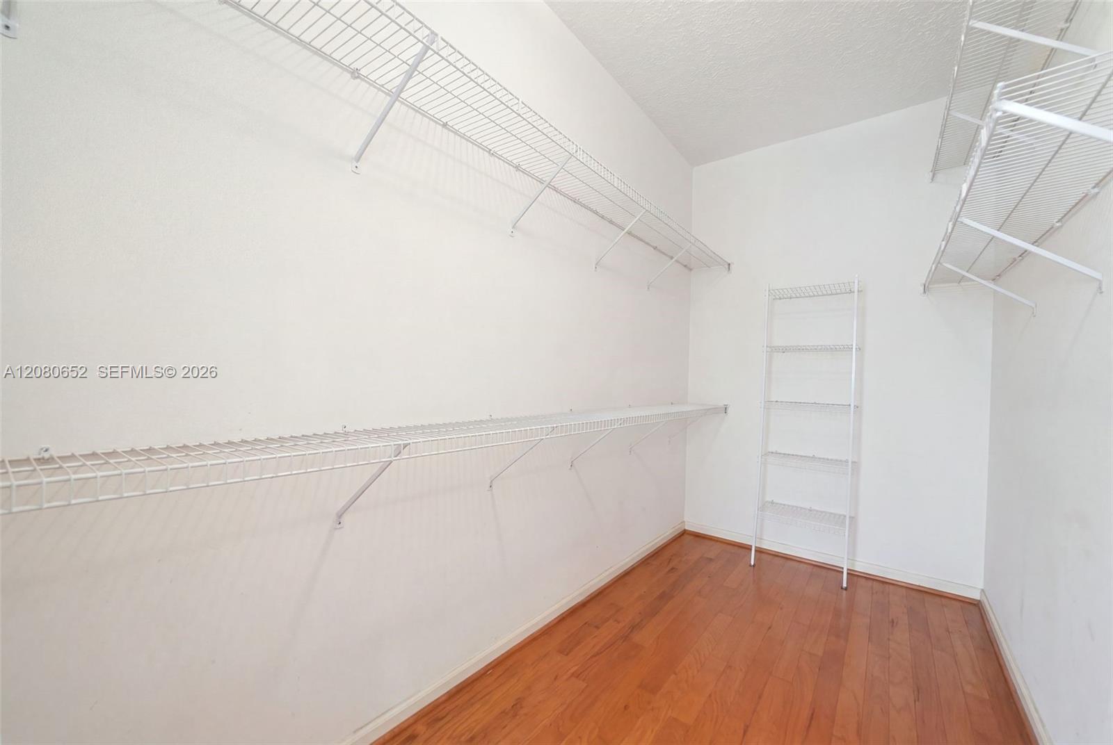 3141 Hanging Moss Cir