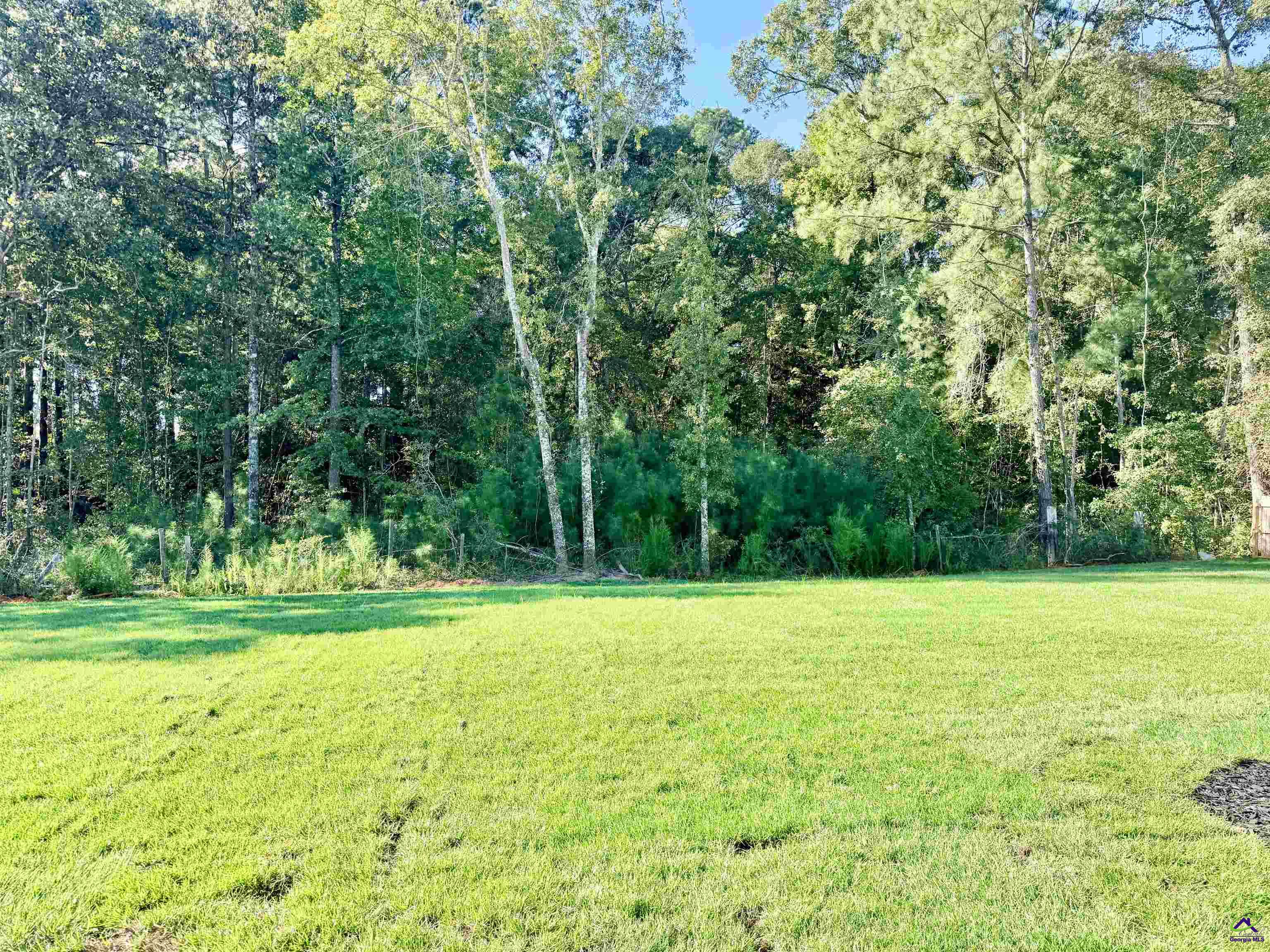 424 Bristleleaf Path