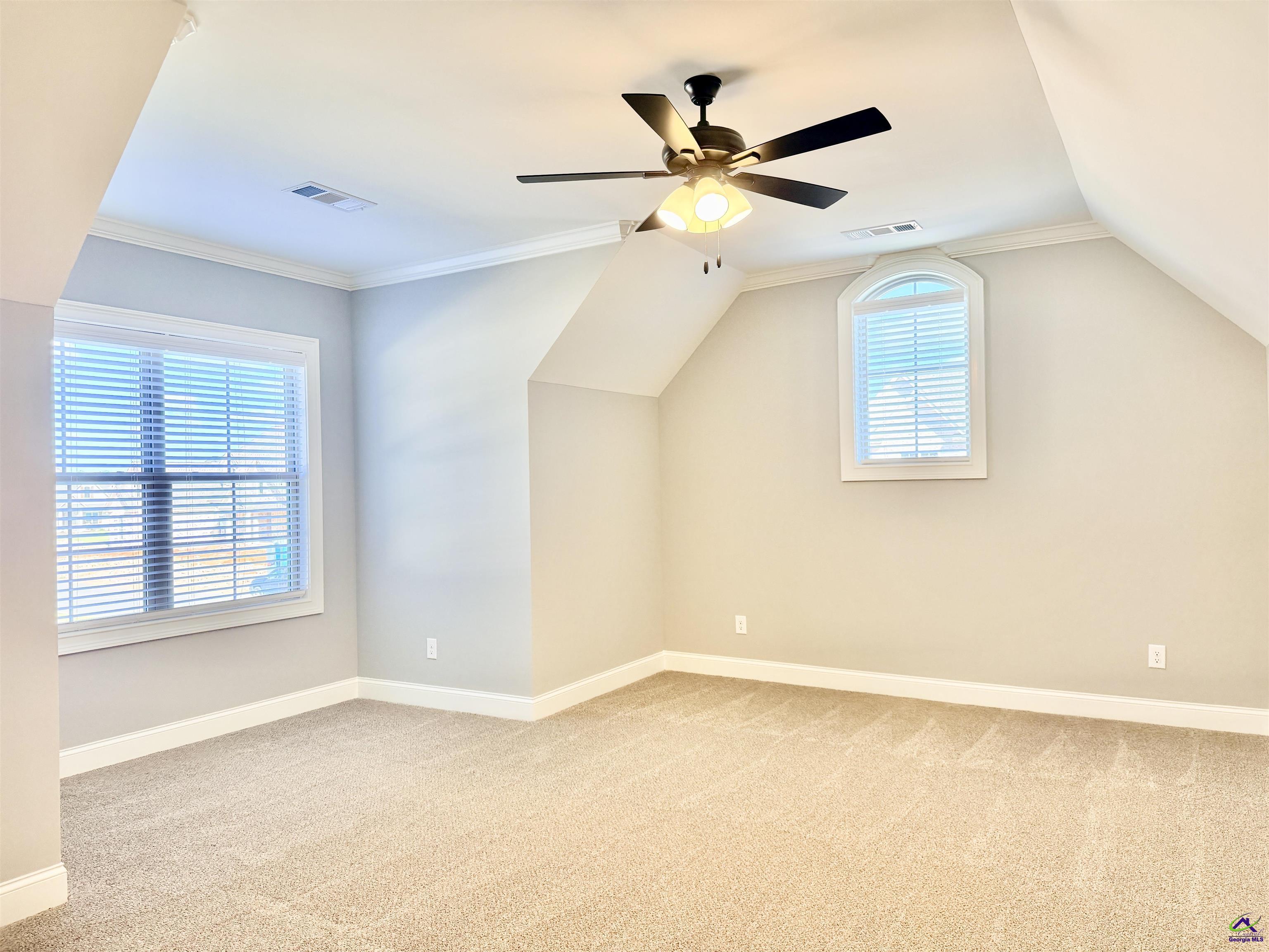 424 Bristleleaf Path