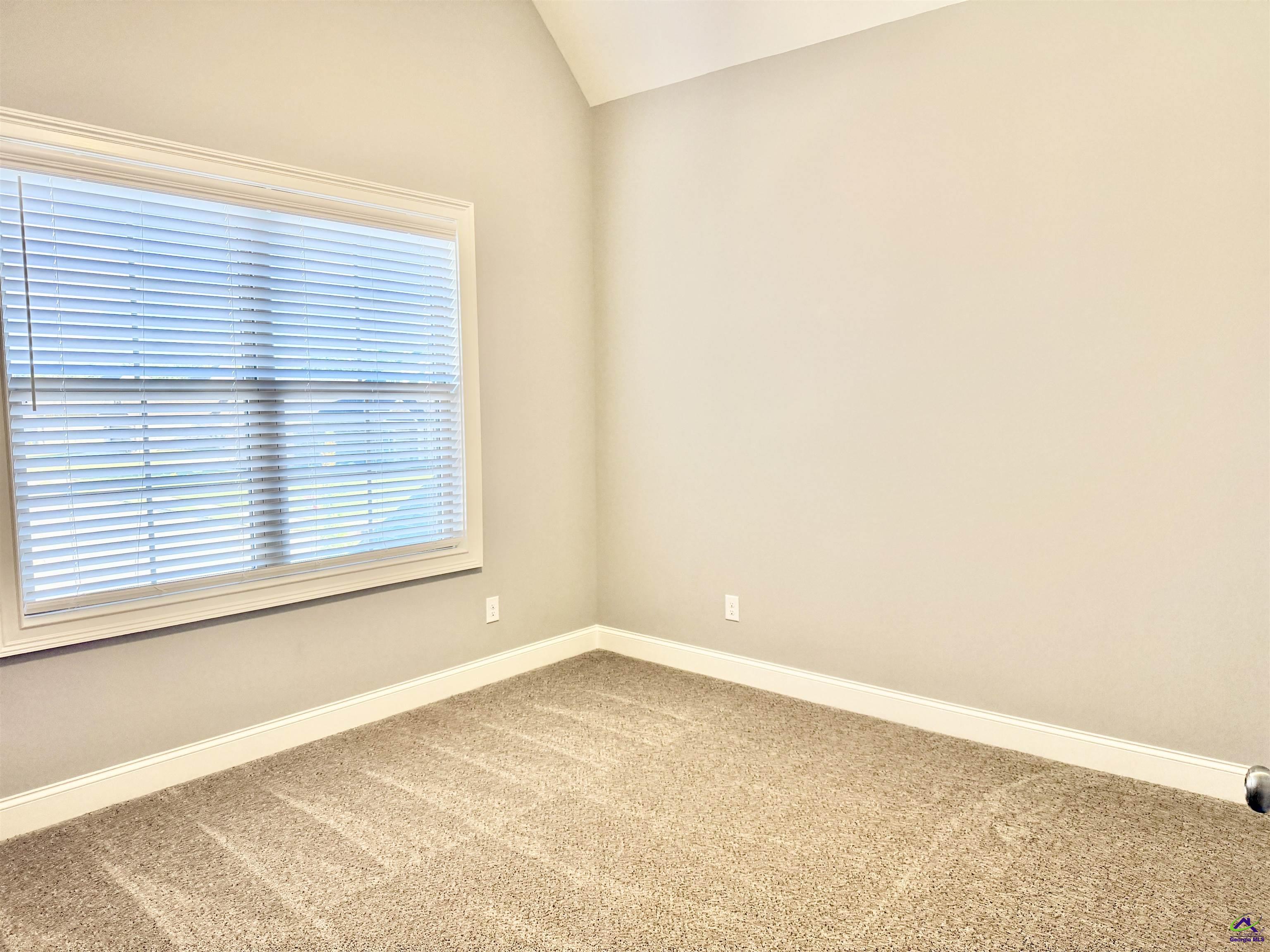 424 Bristleleaf Path
