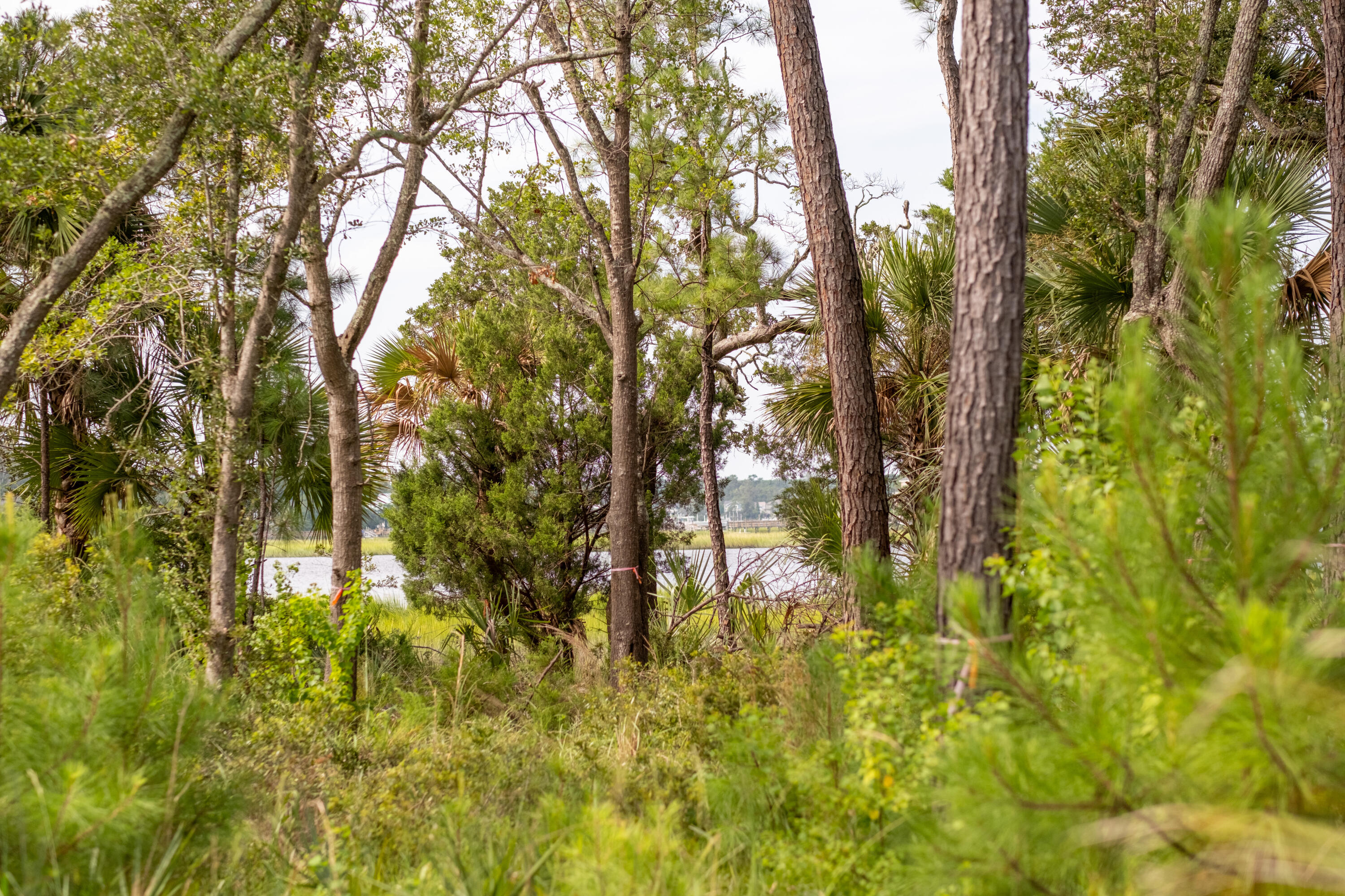 1487 W Deep Creek Overlook