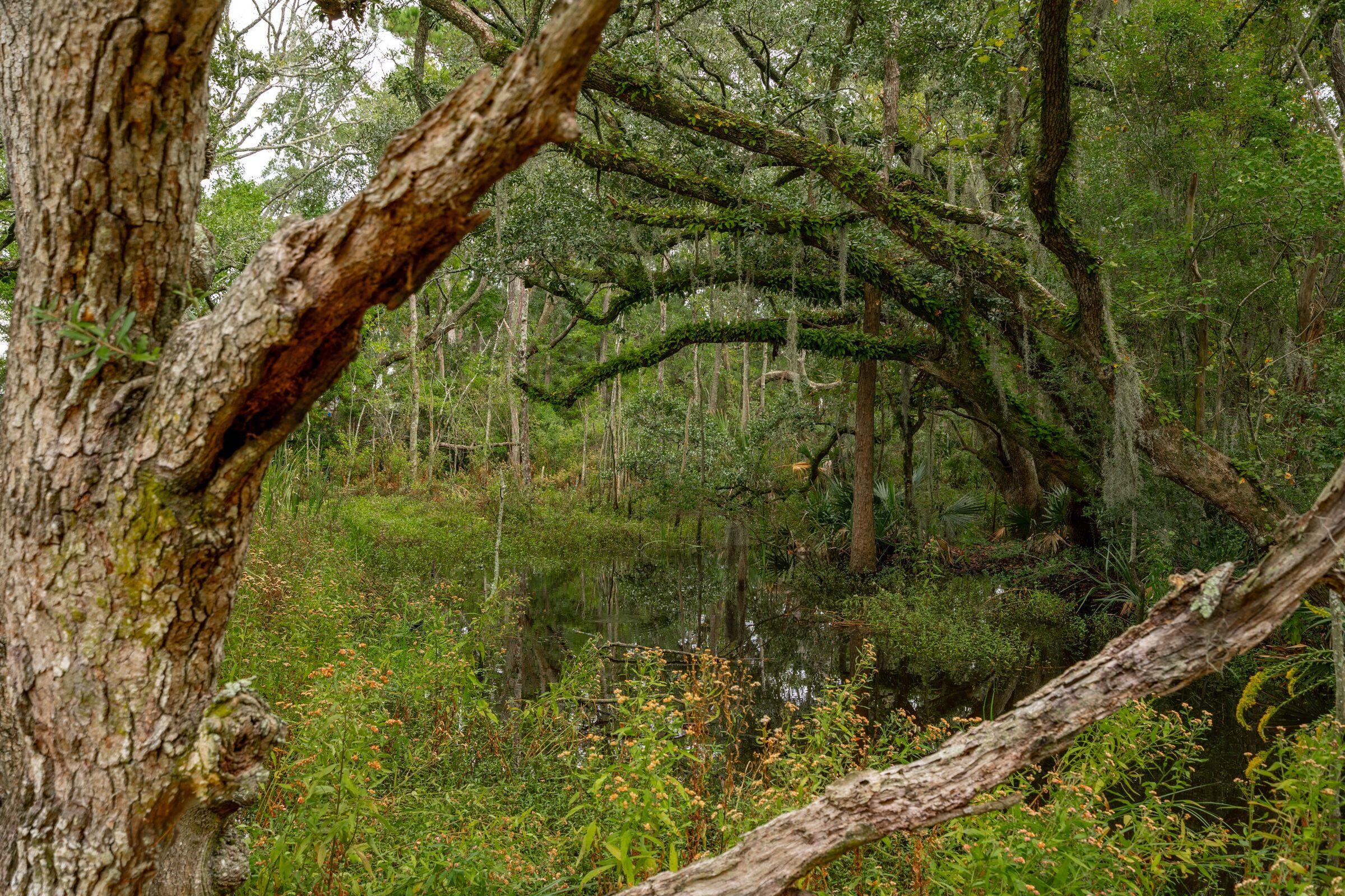 1119 Oak Overhang Street