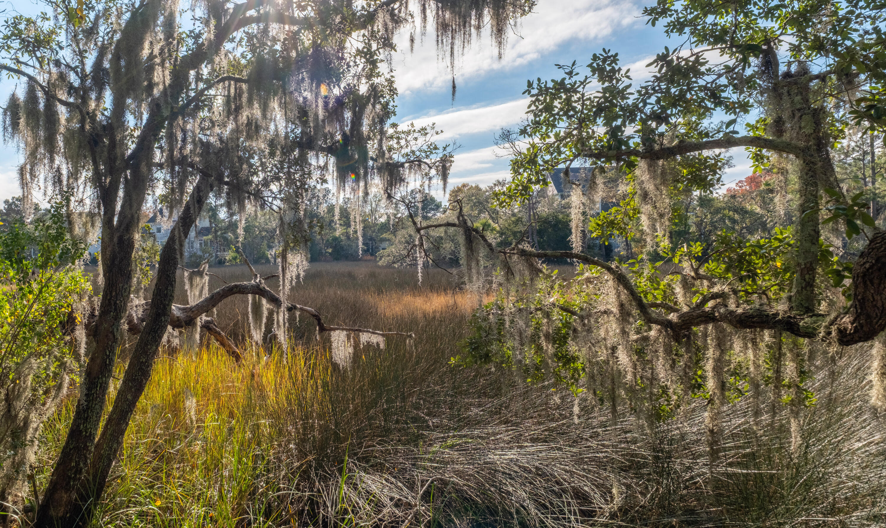 135 Pier View Street # 106