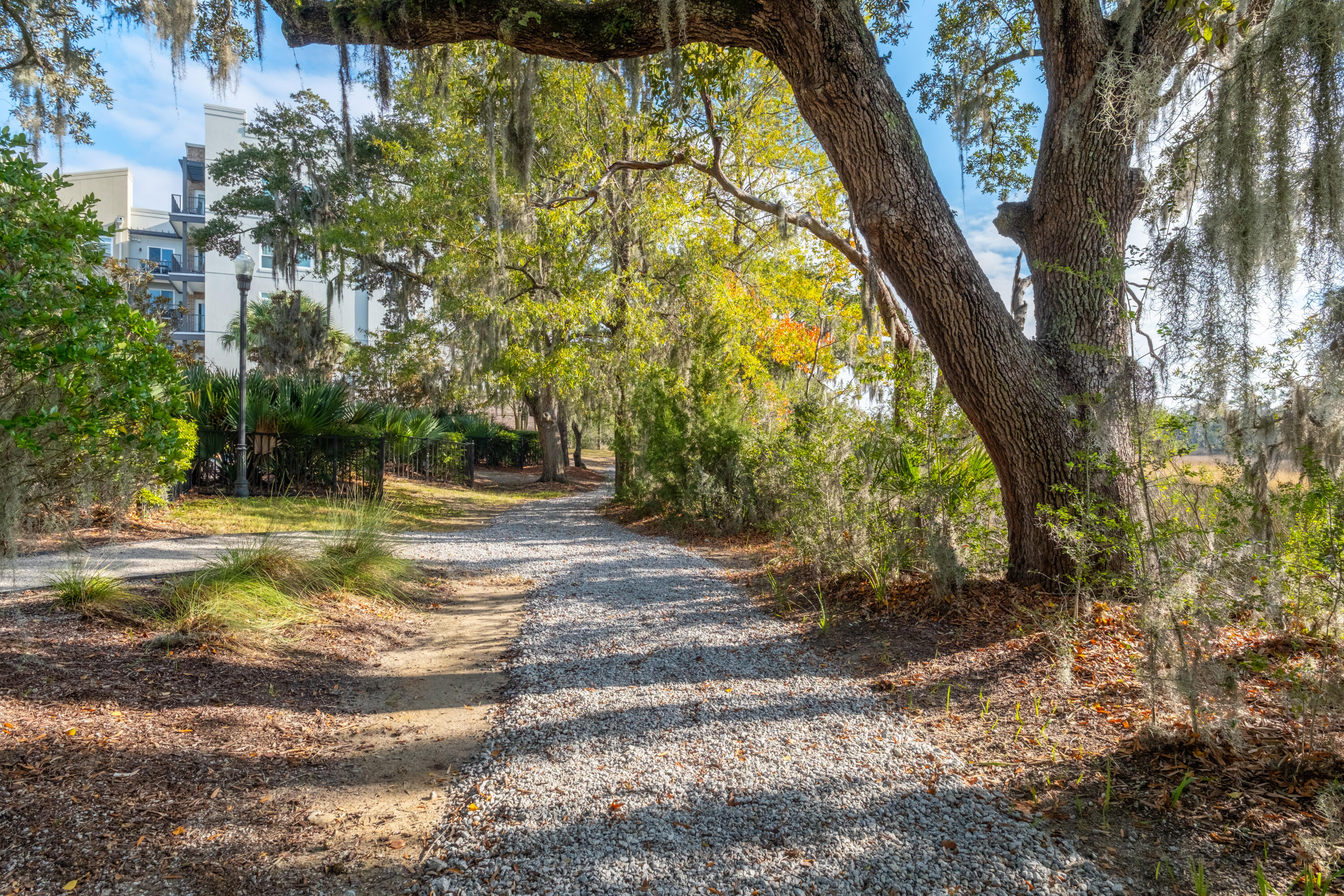 135 Pier View Street # 106