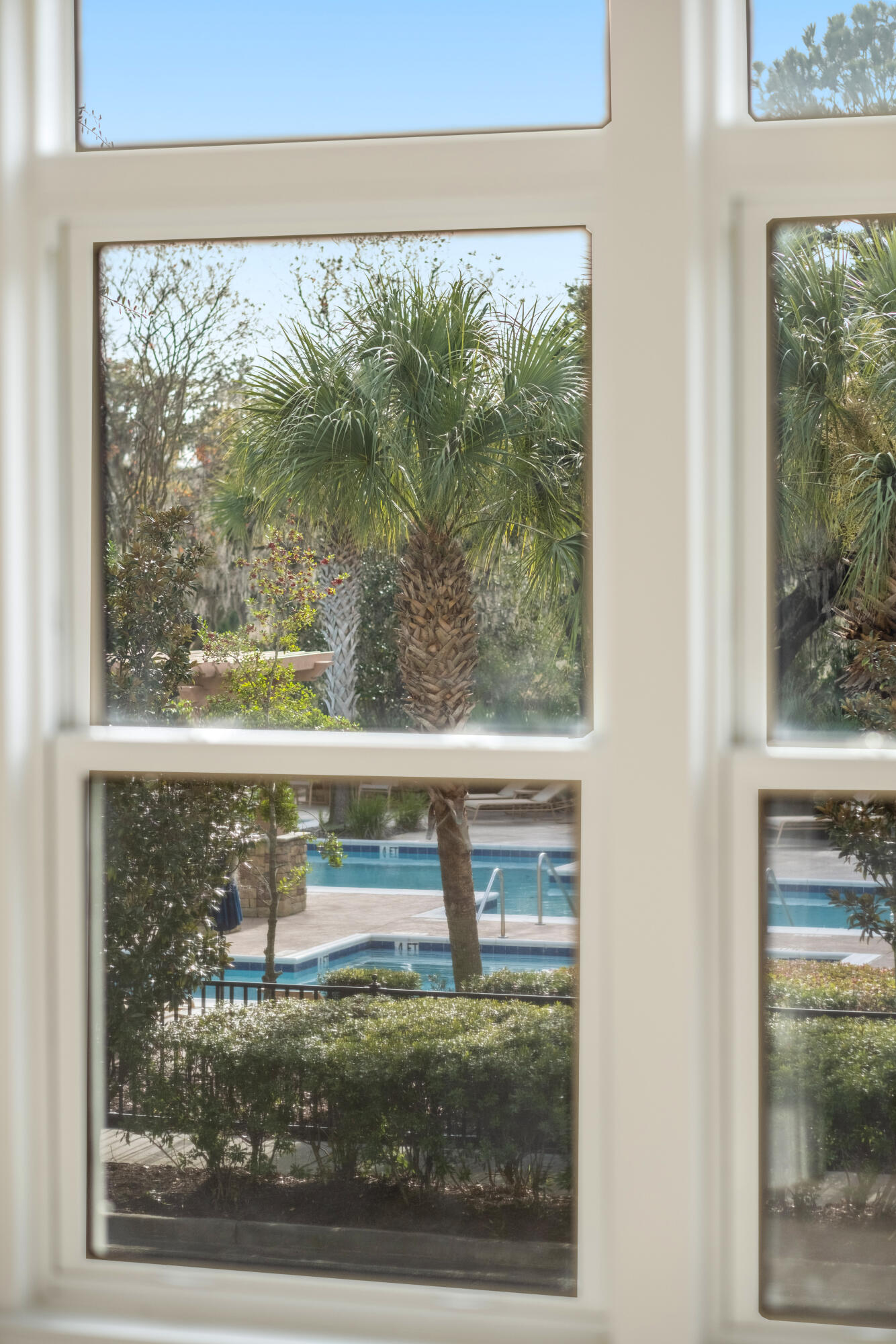 135 Pier View Street # 106