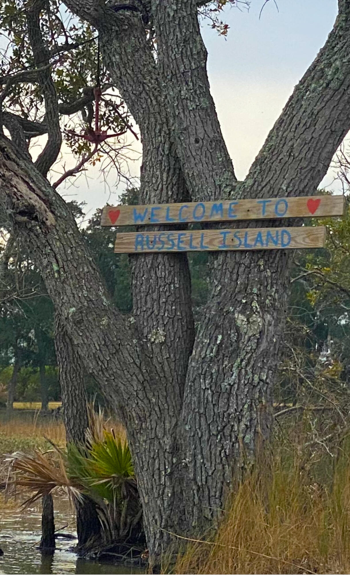 1540 Wando View Street, Charleston