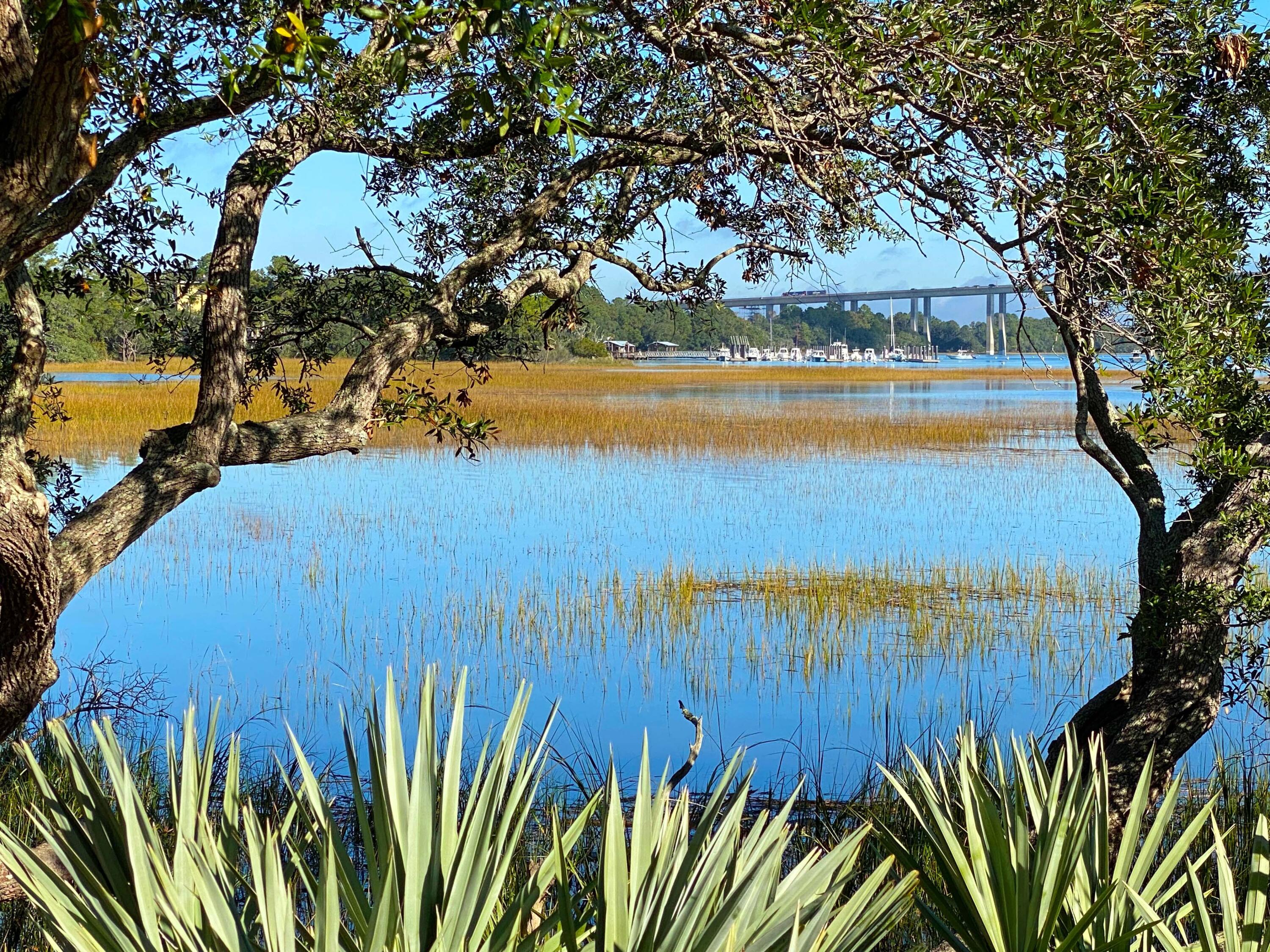 1540 Wando View Street, Charleston