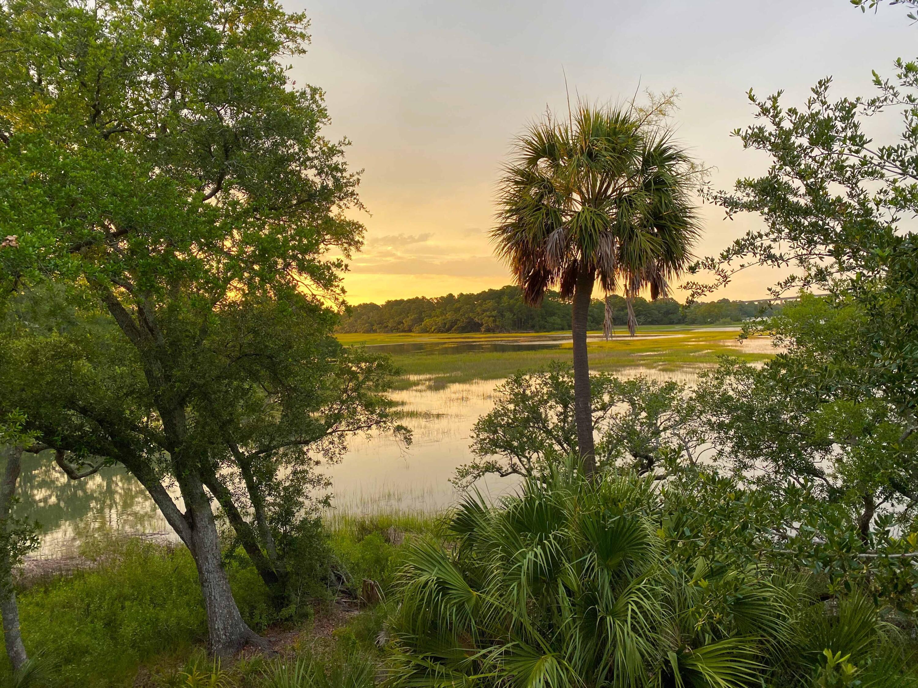 1540 Wando View Street, Charleston