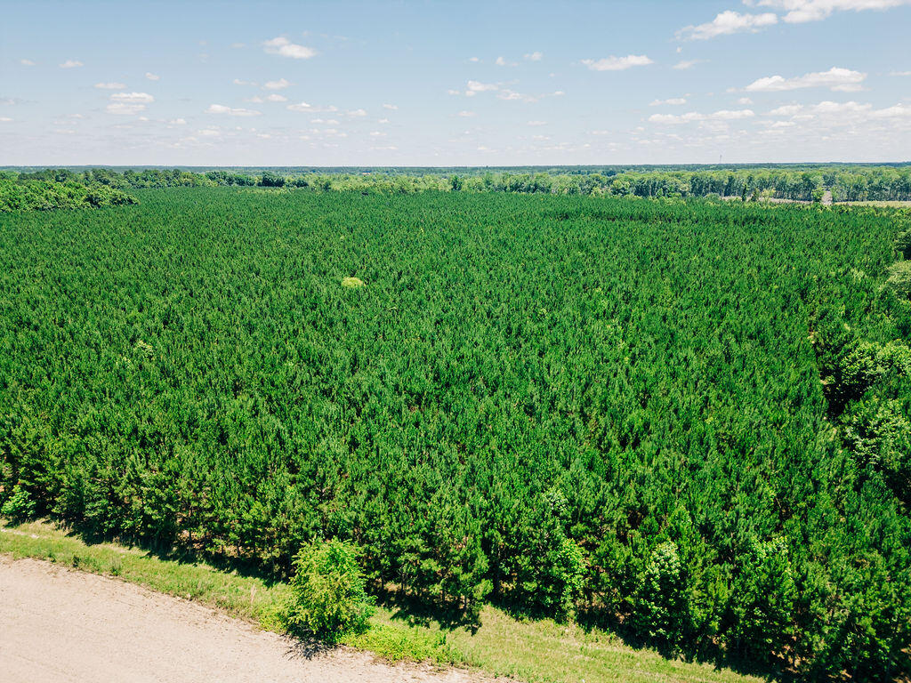 0000 Varnadoe Road