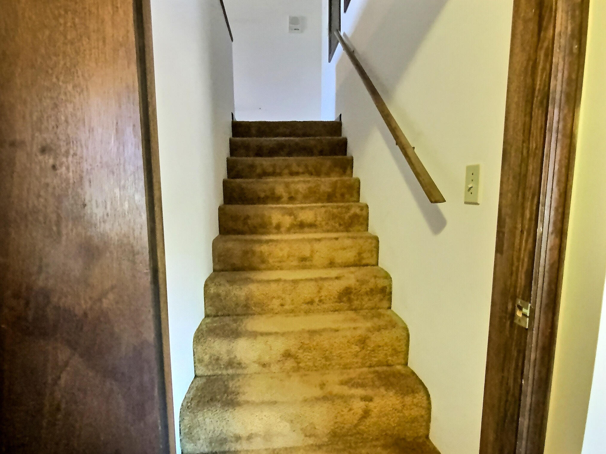 303 Swamp Fox Lane