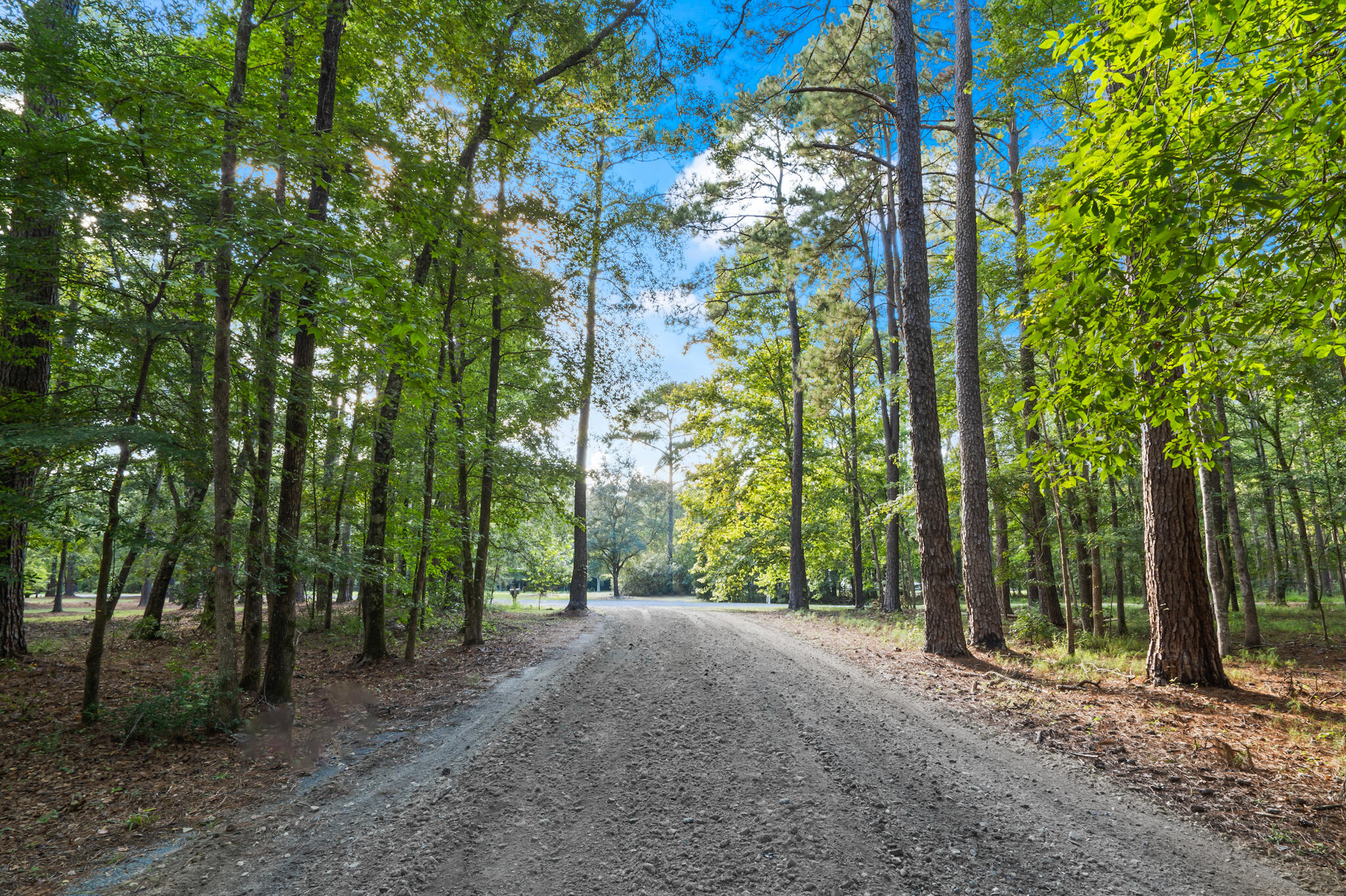 140 Old Plantation Lane