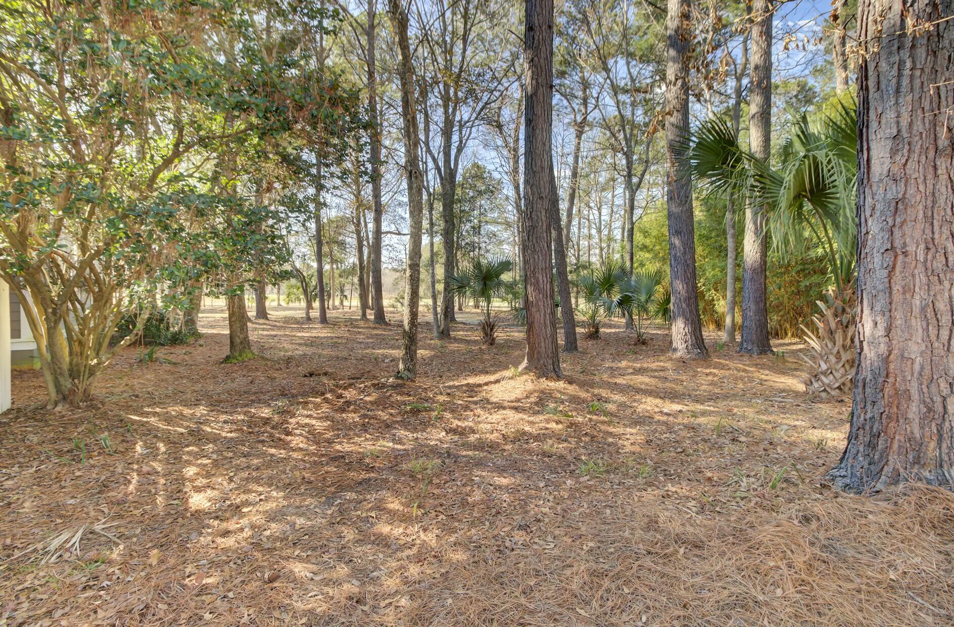 3334 Cottonfield Drive