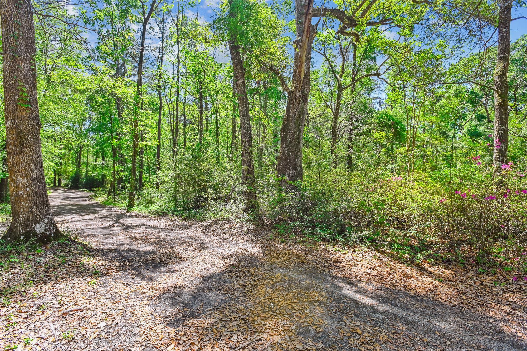 7095 Parkers Ferry Road