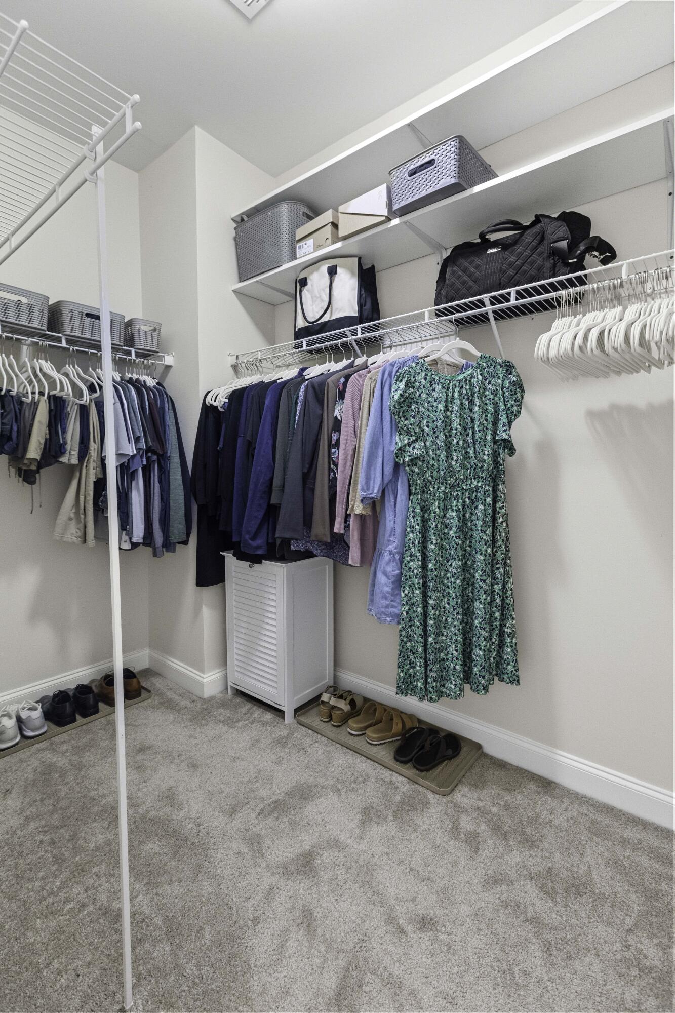 311 Amaryllis Avenue