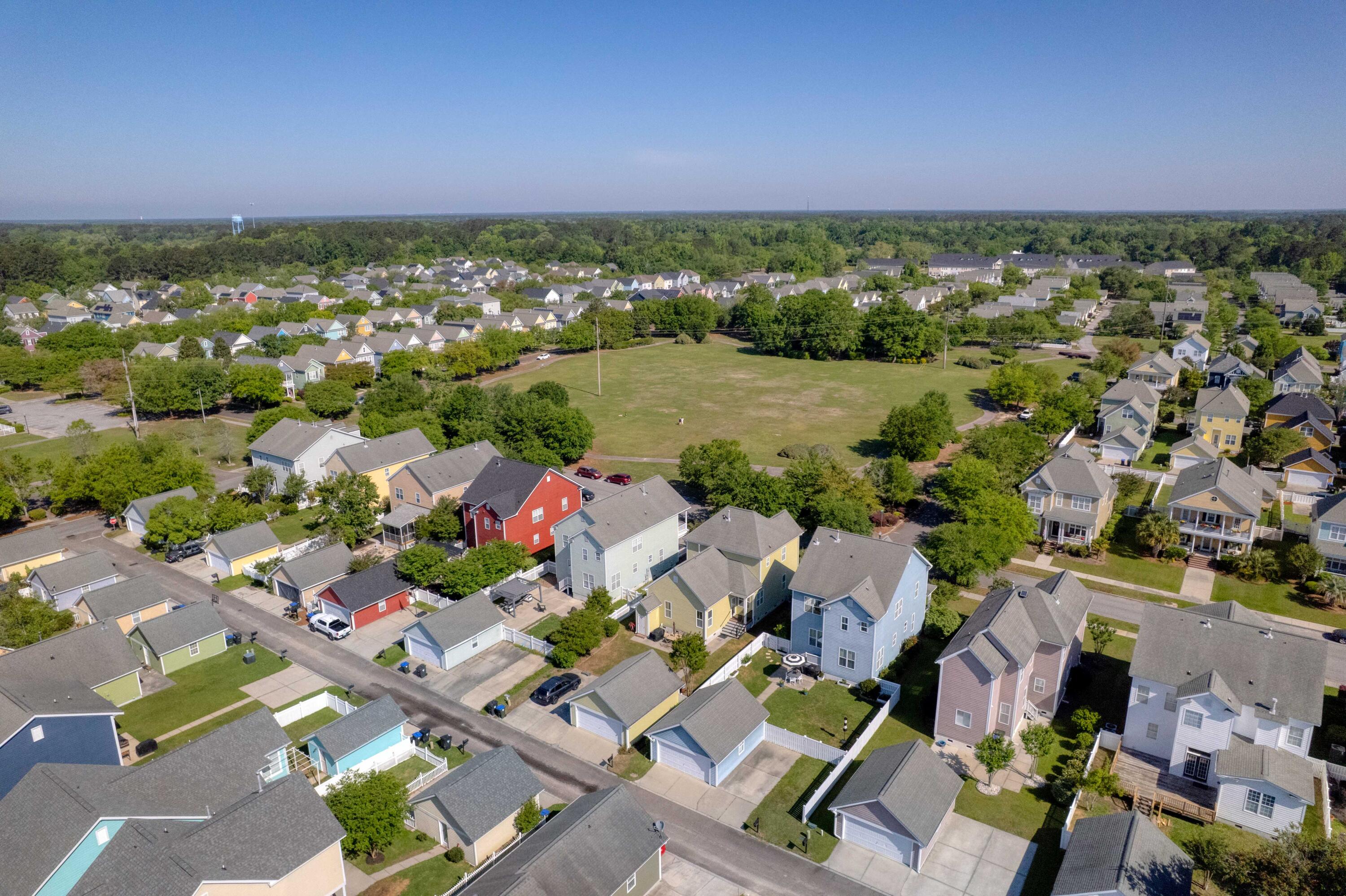 311 Amaryllis Avenue