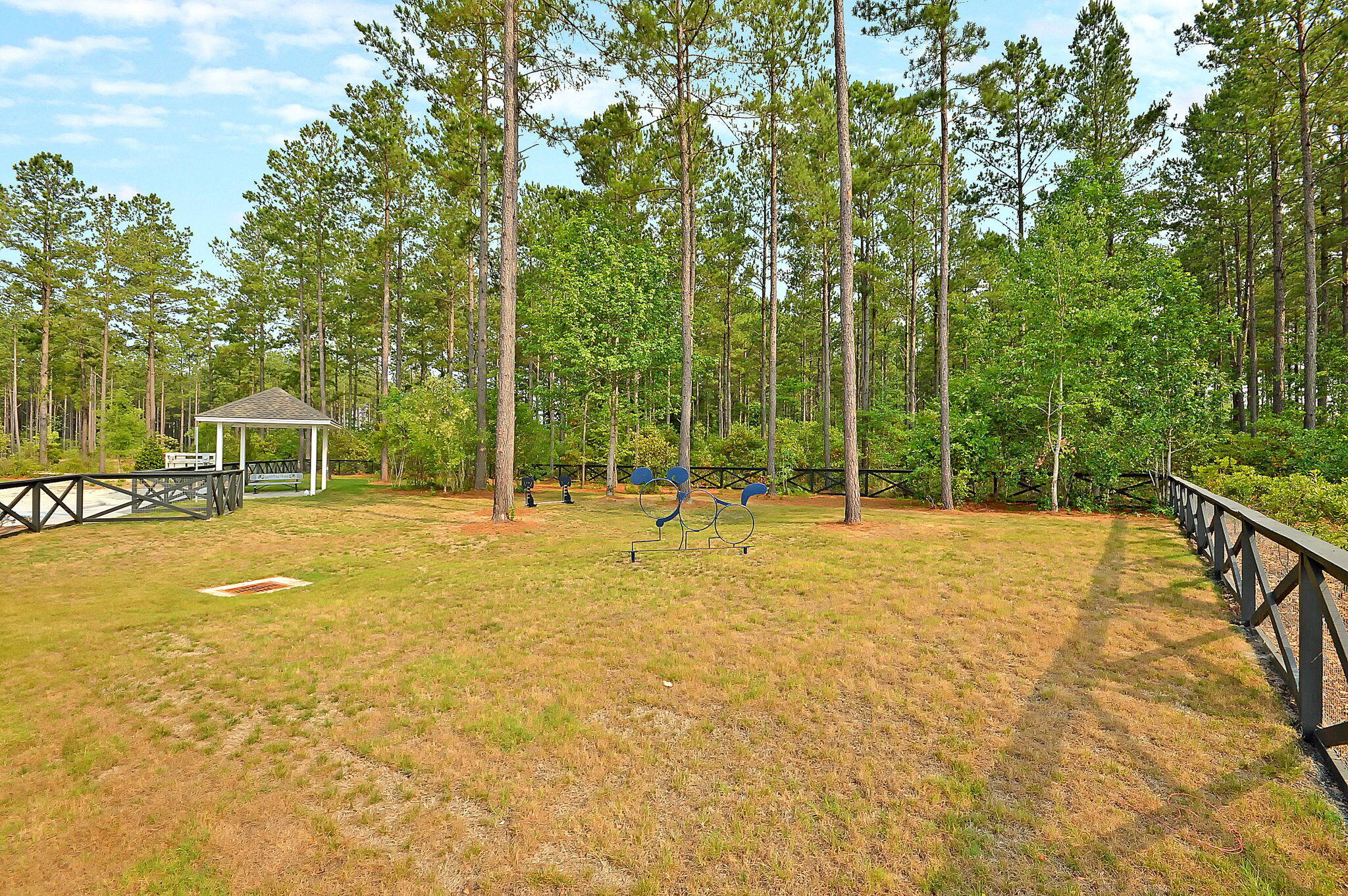 522 Tidewater Chase Lane, Summerville
