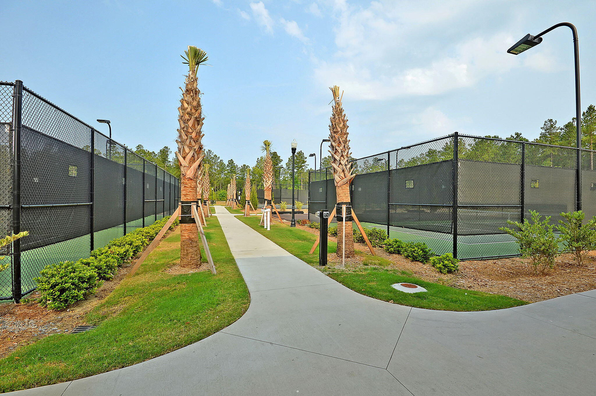 522 Tidewater Chase Lane, Summerville