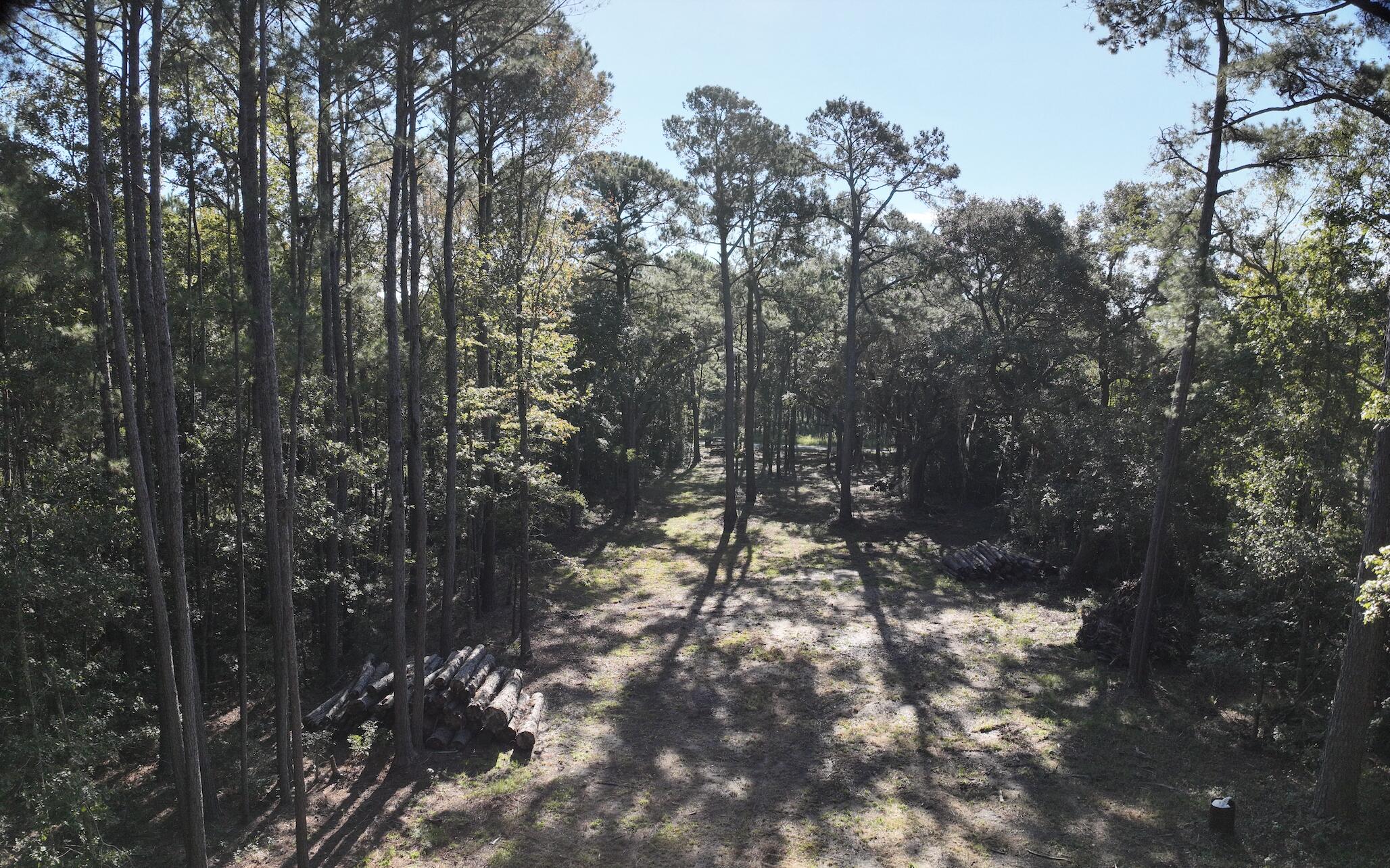 746 Dupre Road, McClellanville